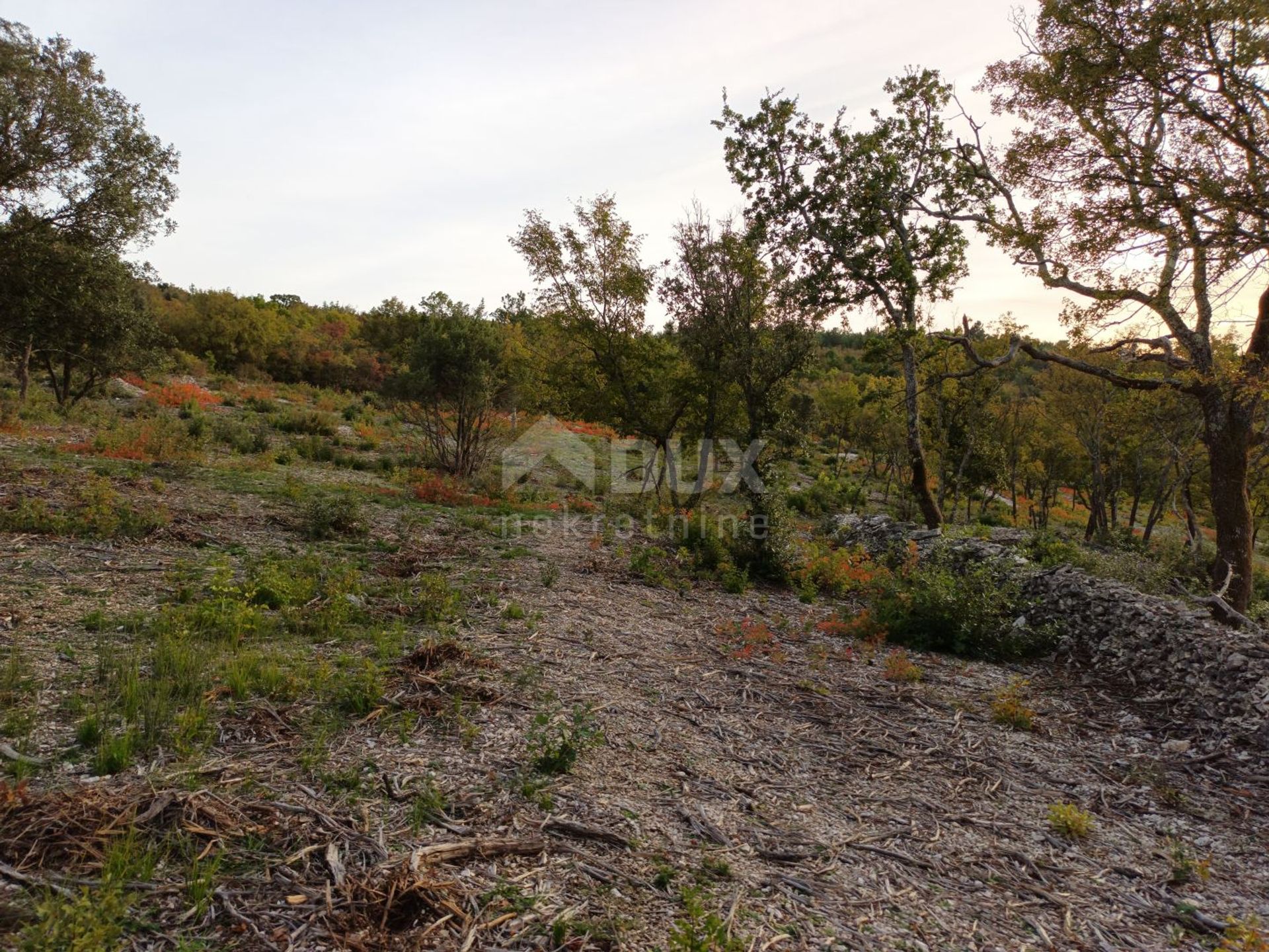 Land in Labin, Istarska Zupanija 11115605