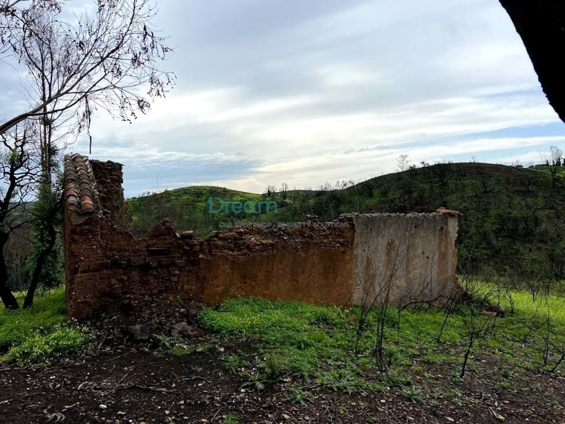 Land in Vila do Bispo, Faro District 11116088