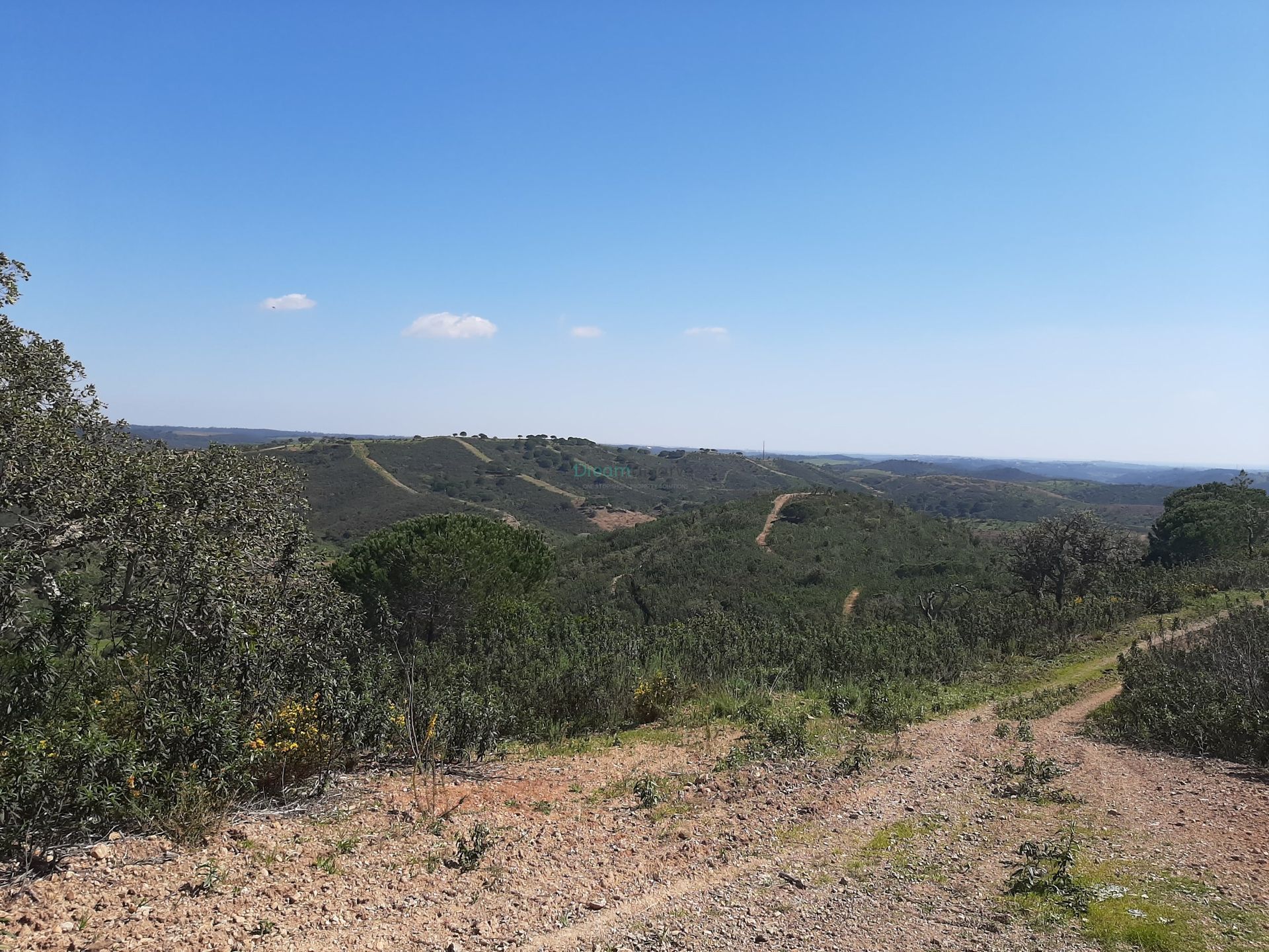 بيت في Bensafrim, Faro 11116193