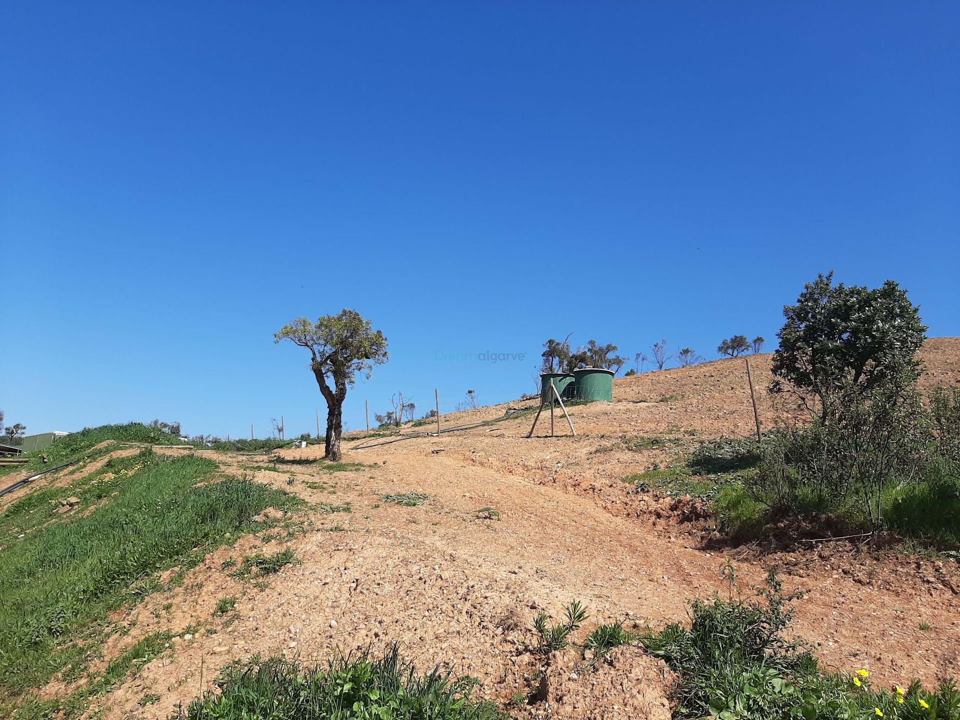 بيت في Bensafrim, Faro 11116193