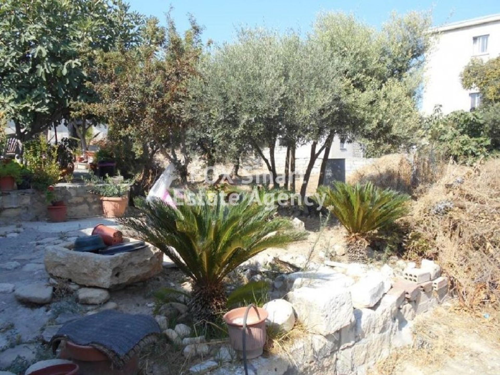 Land im Mesa Geitonia, Lemesos 11116283