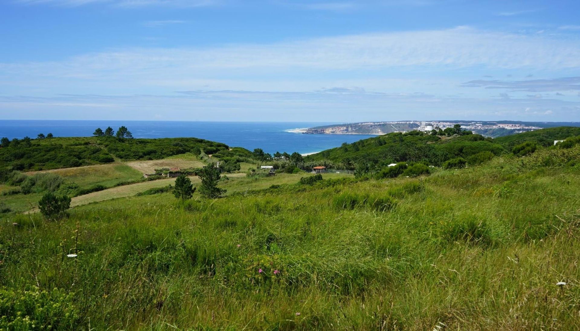 casa en Nazaré, Leiria District 11116359