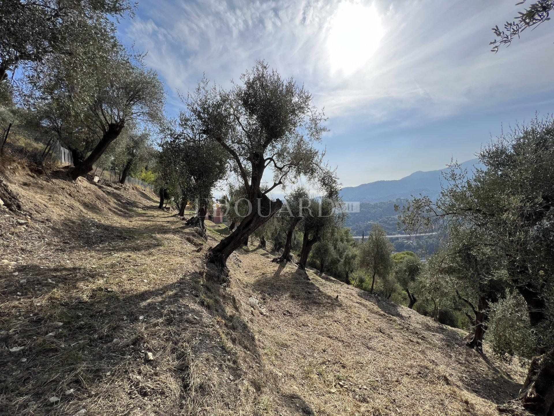 rumah dalam Castellar, Provence-Alpes-Côte d'Azur 11116469