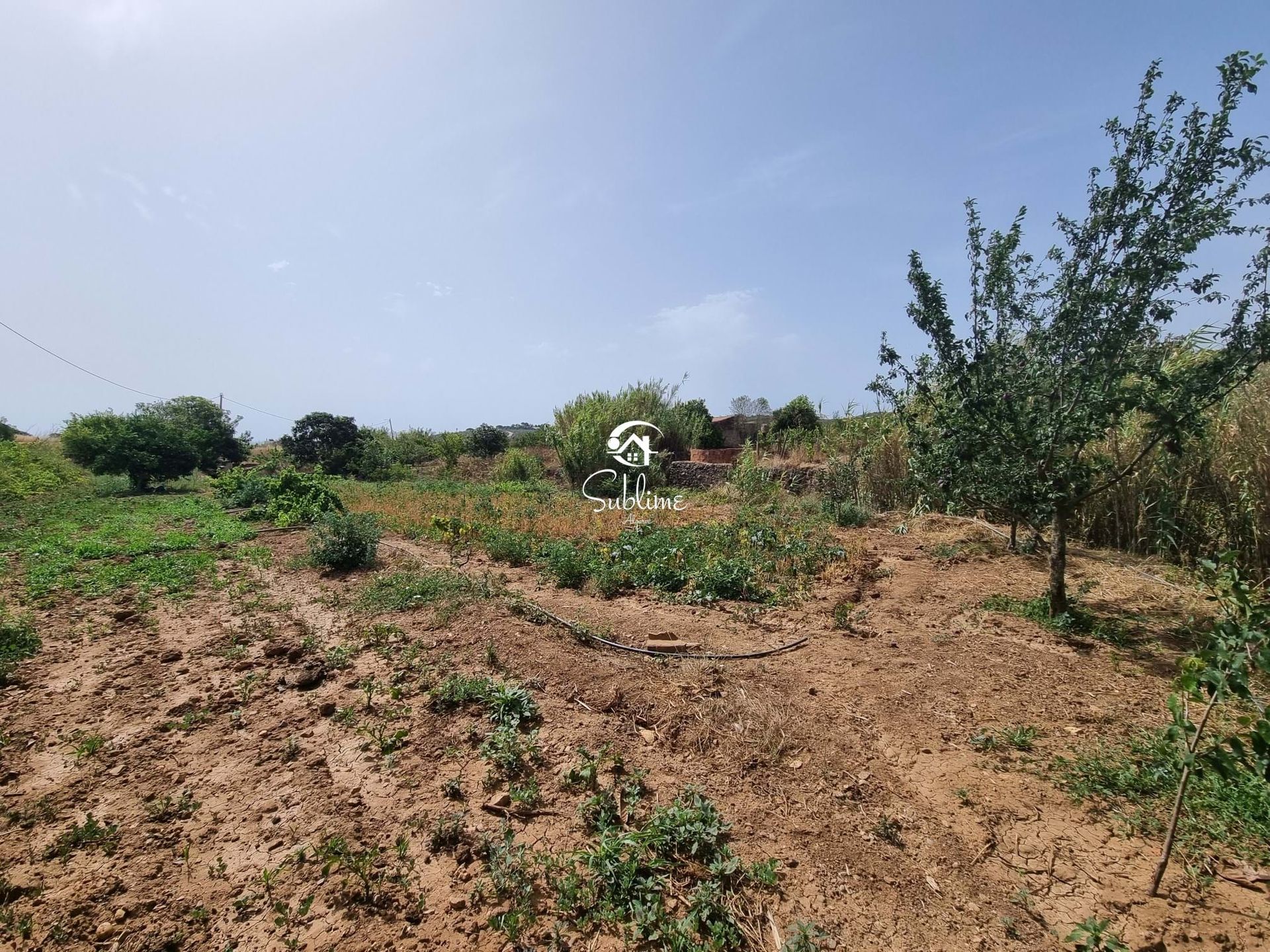 Land in , Faro 11116667