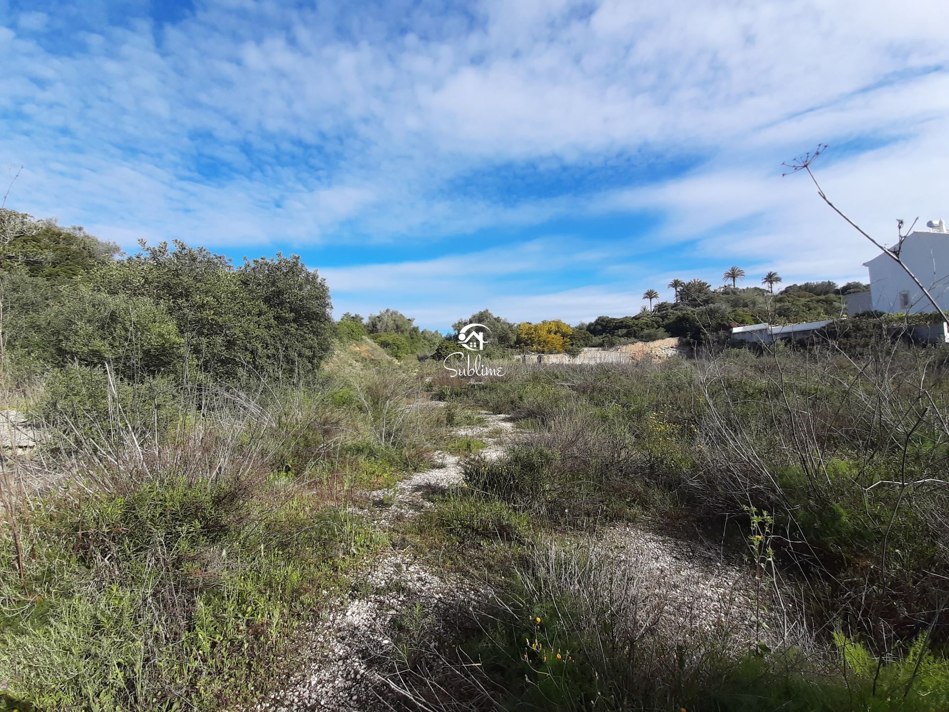 Land in Luz, Faro 11116687