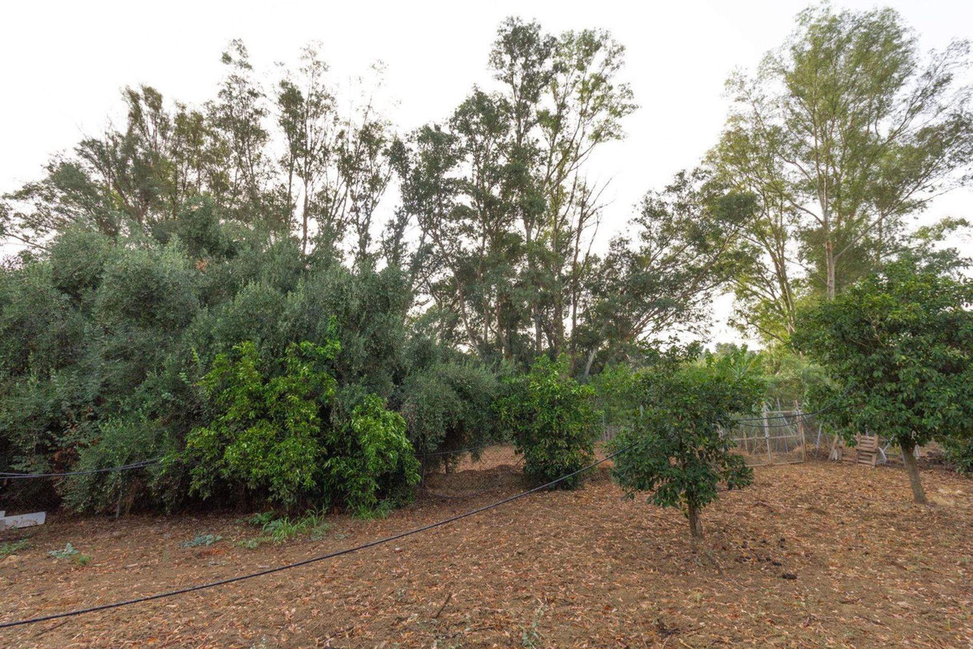 Muu sisään Alhaurín el Grande, Andalusia 11116761