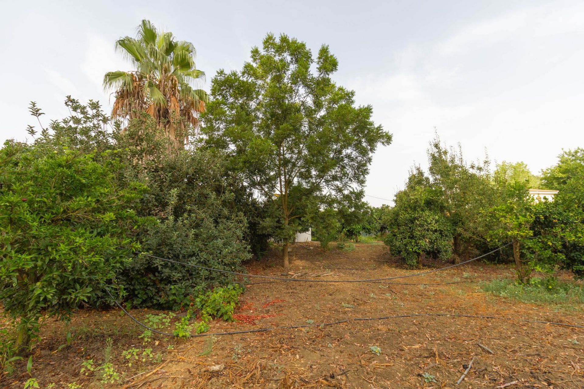 Muu sisään Alhaurín el Grande, Andalusia 11116761