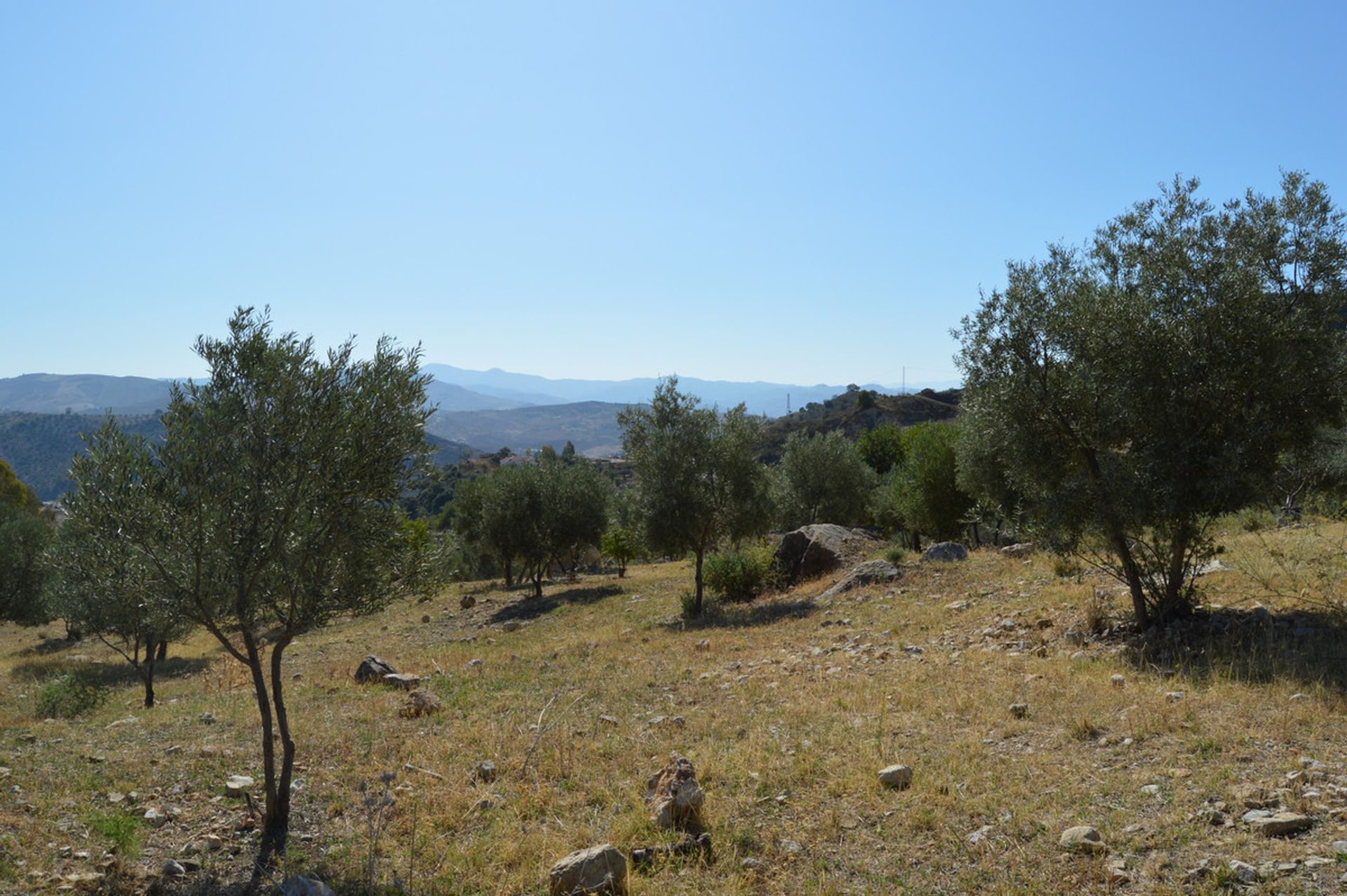 Otro en Pizarra, Andalucía 11116825