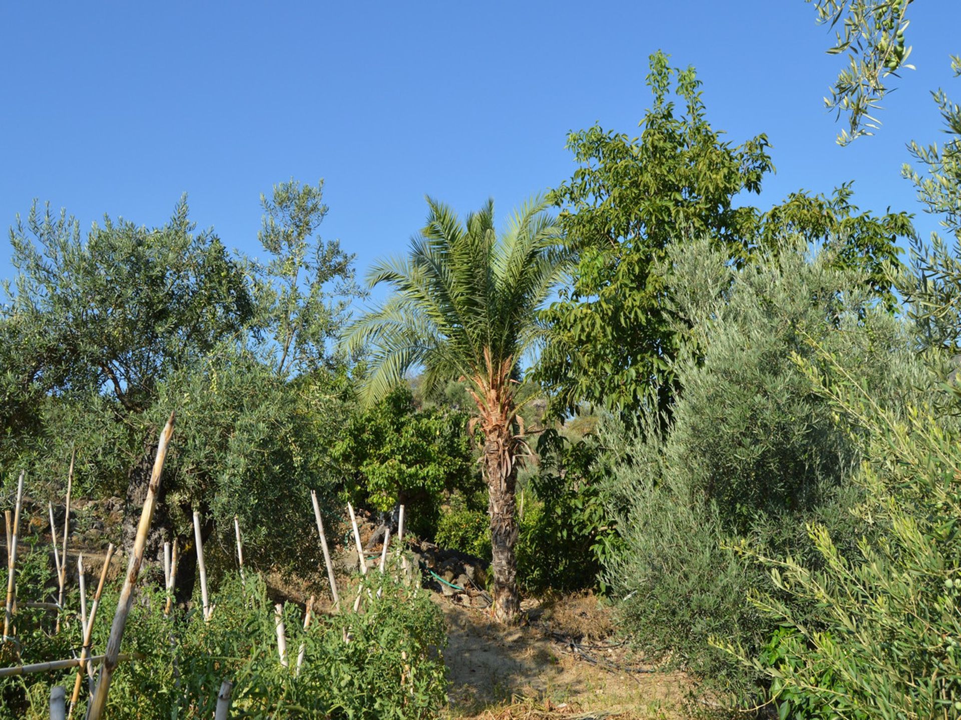 Haus im Álora, Andalucía 11116854