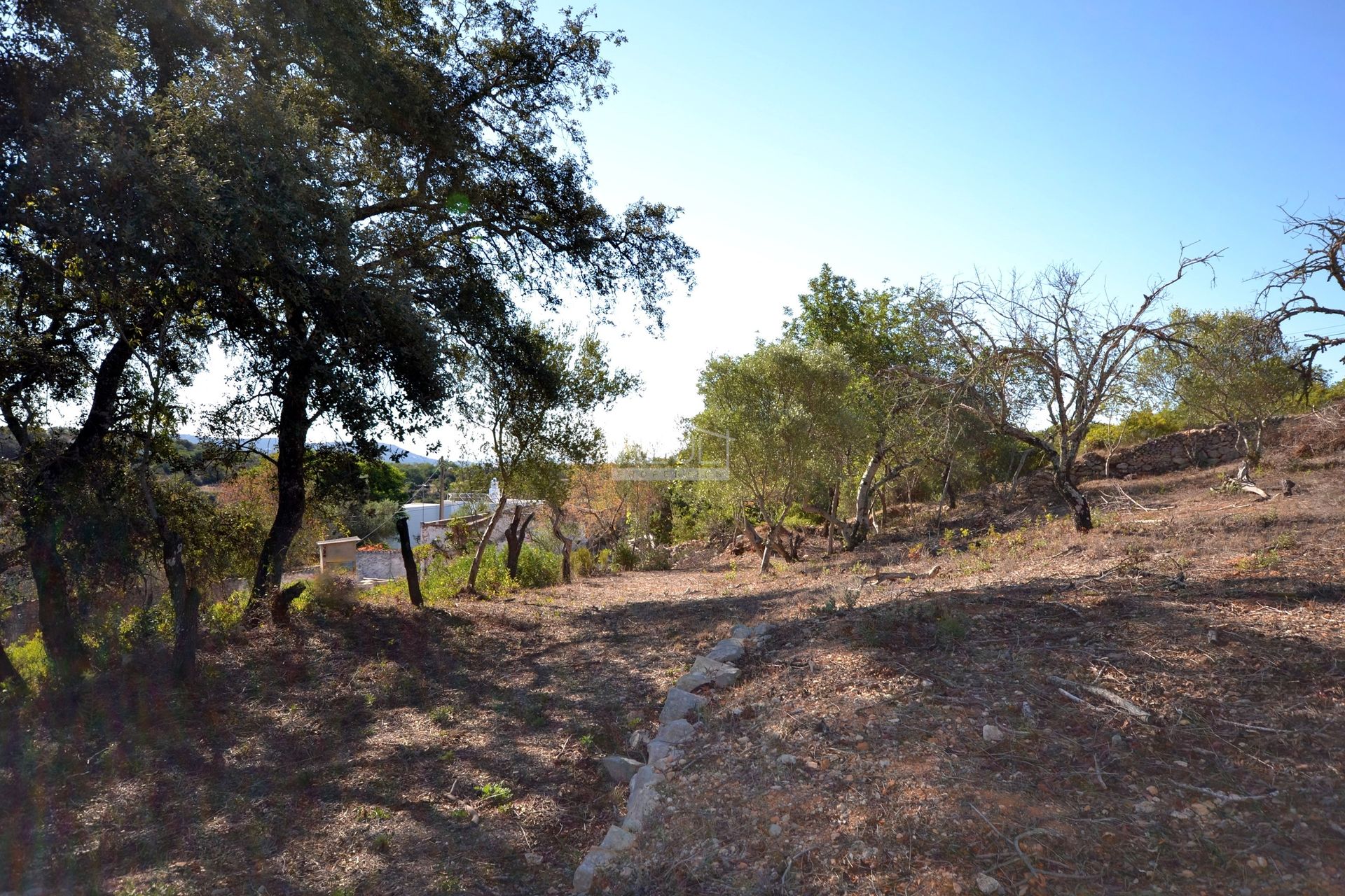 Yang lain dalam Loulé, Faro District 11116918