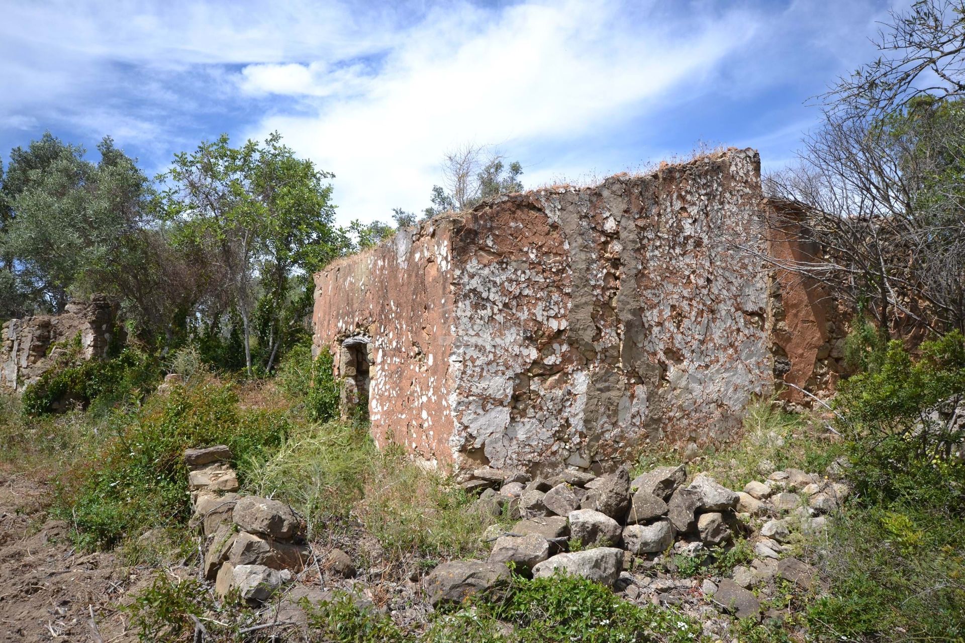 Annen i Loulé, Faro 11116931