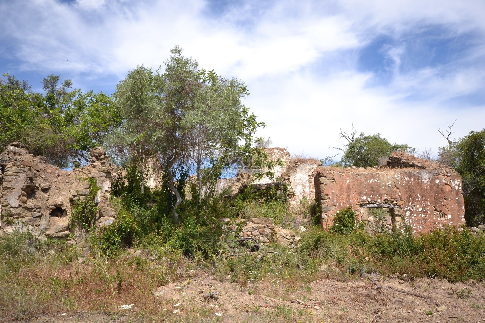 Annen i Loulé, Faro 11116931