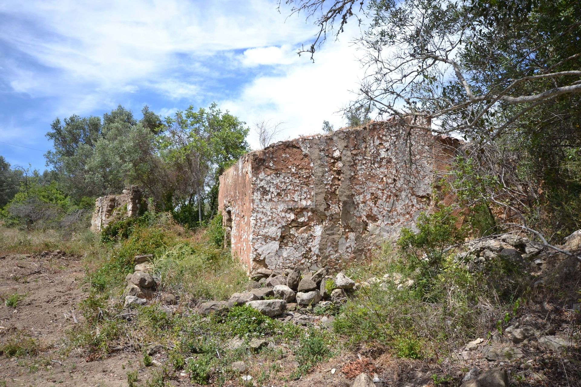 Annen i Loulé, Faro 11116931