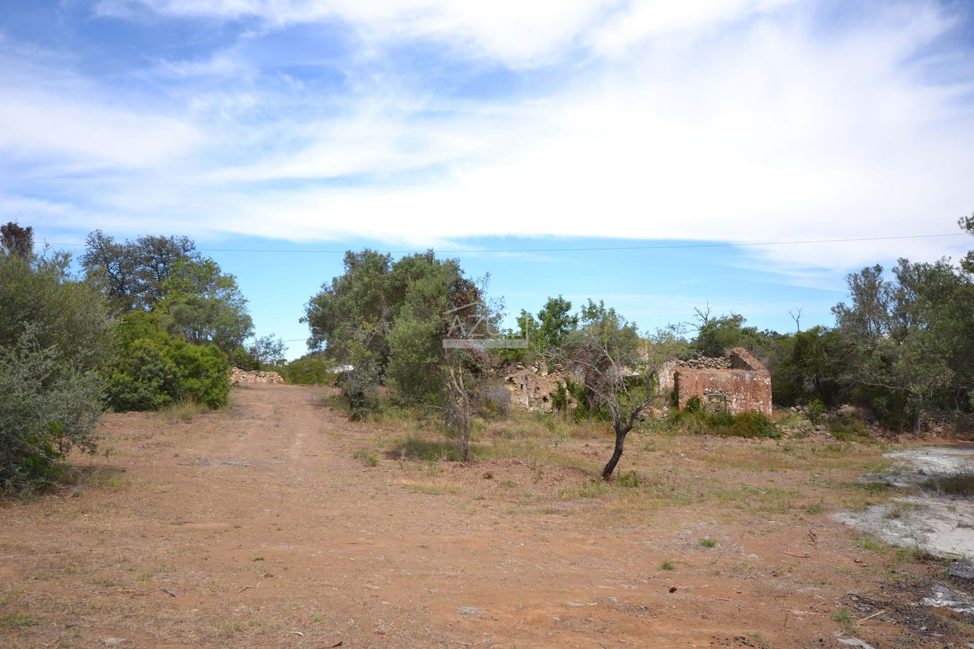 Annen i Loulé, Faro 11116931