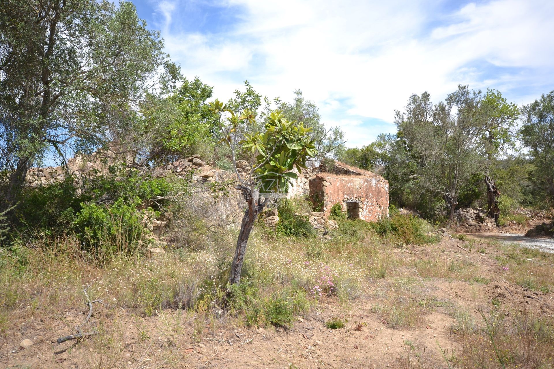 Annen i Loulé, Faro 11116931