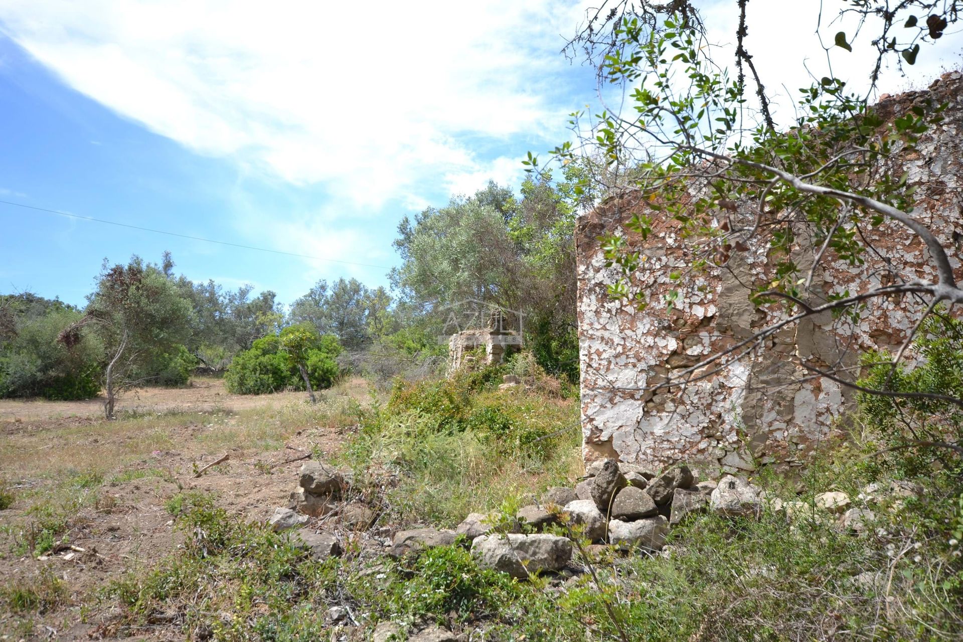 Annen i Loulé, Faro 11116931