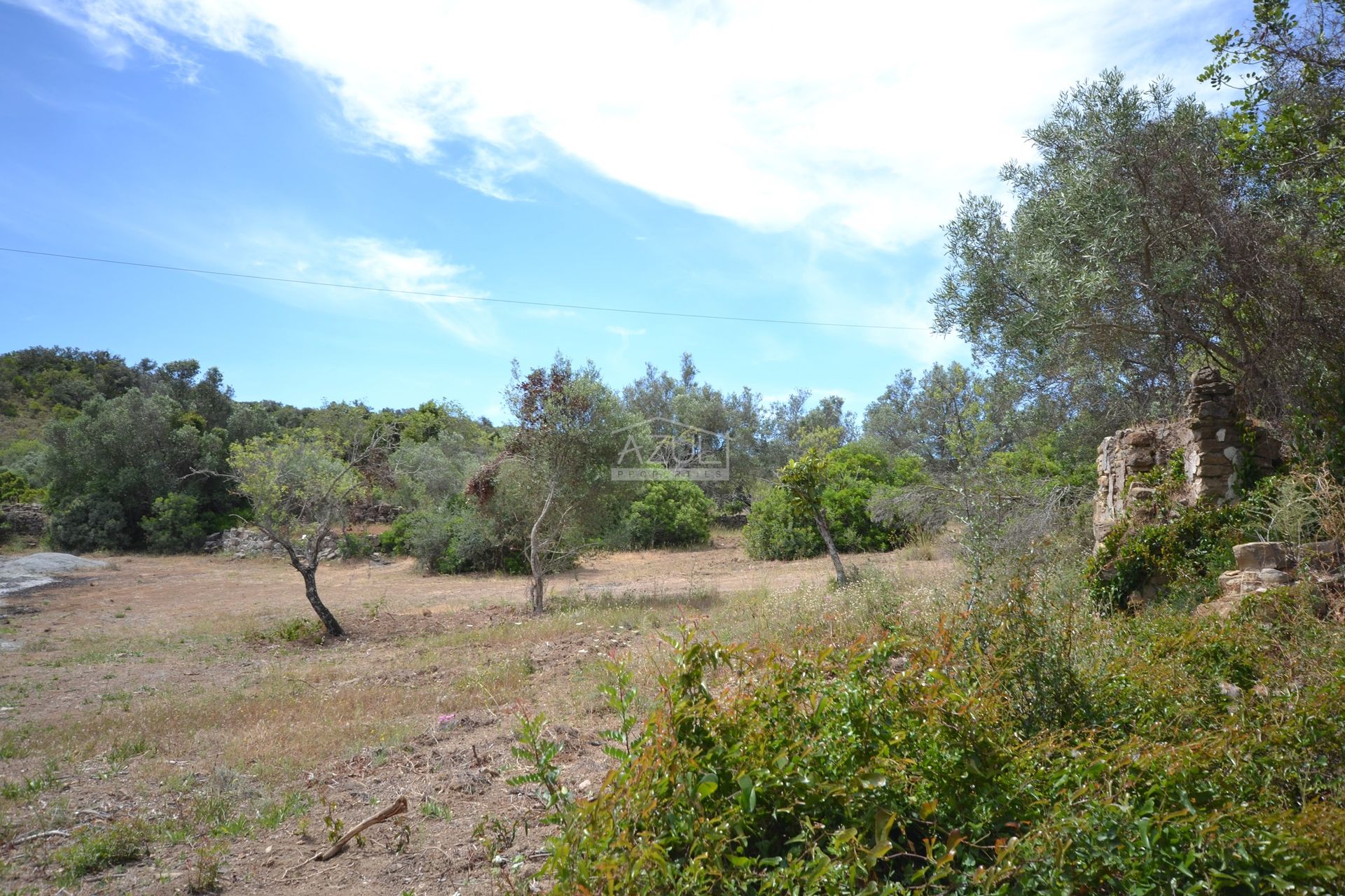 Annen i Loulé, Faro 11116931