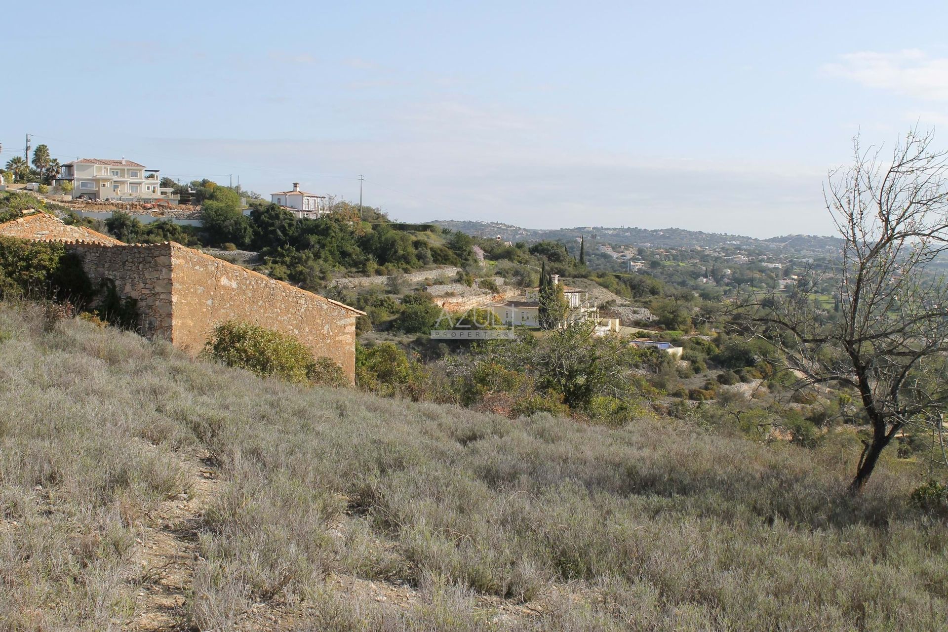 Outro no Loulé, Faro 11116939