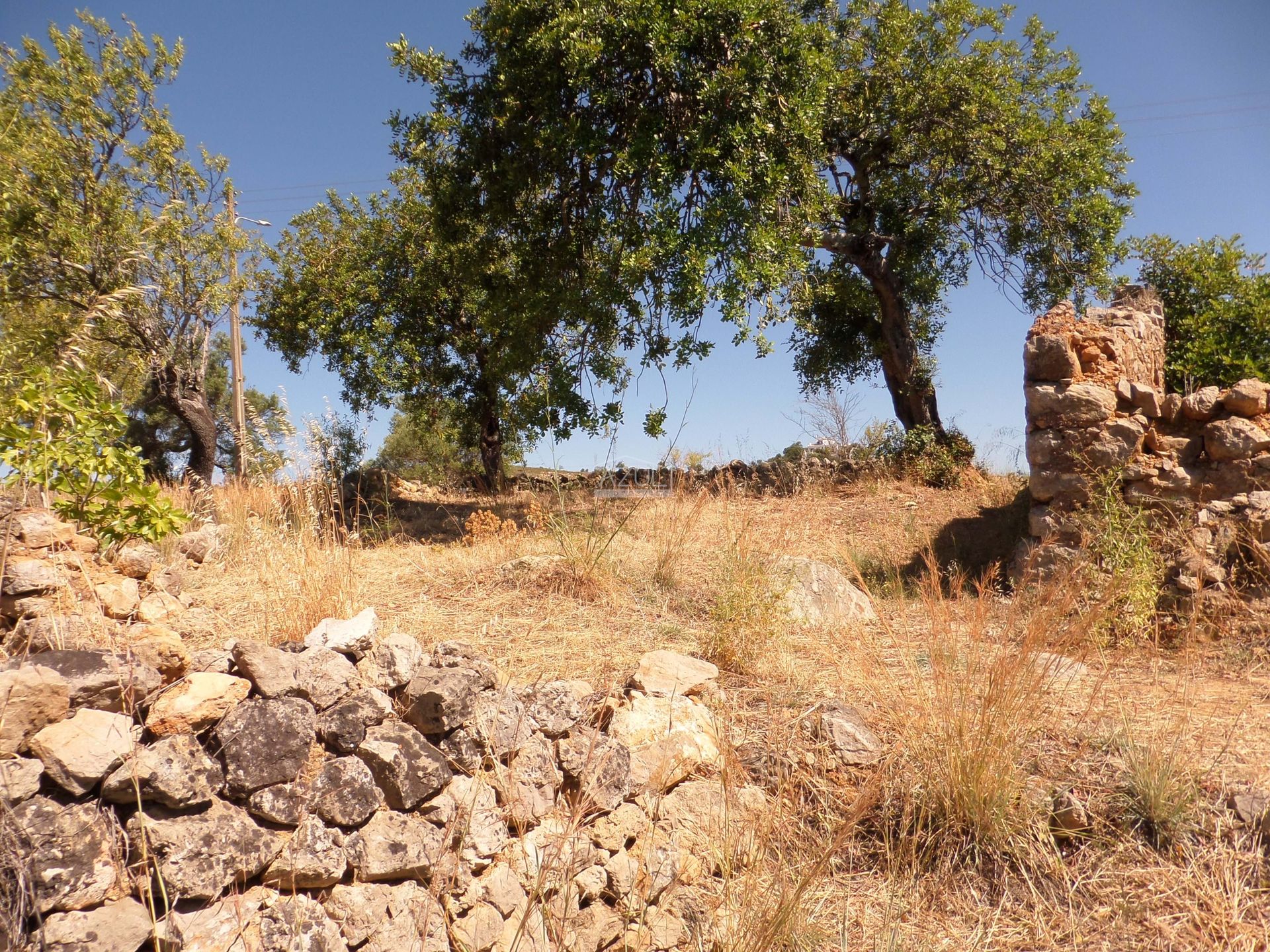 Αλλα σε Cerro da Mesquita, Φαραώ 11116949