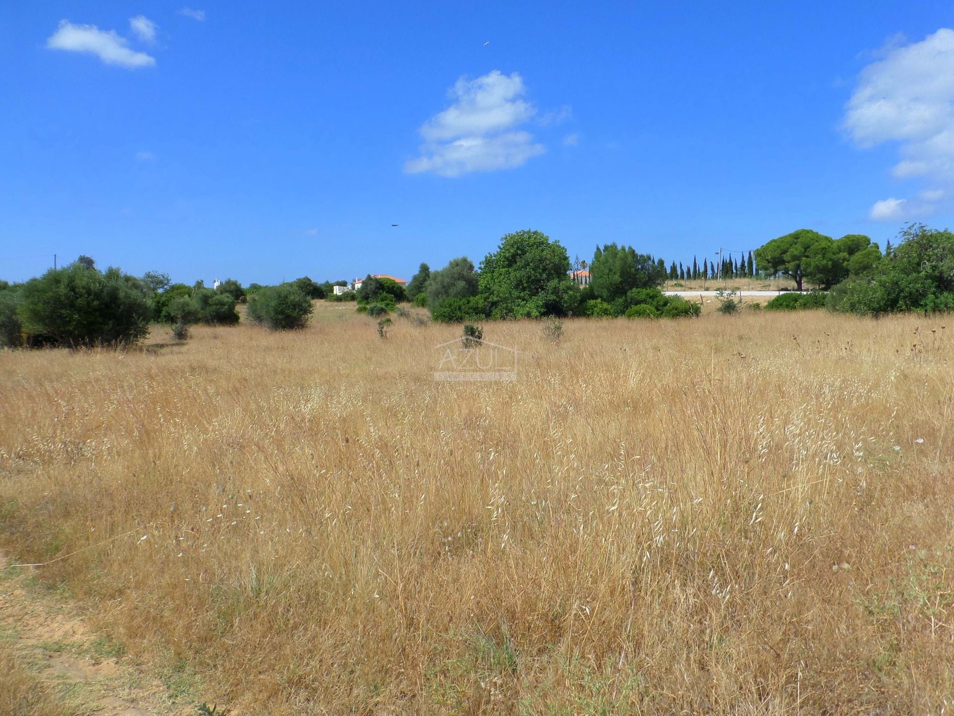 Land in Quarteira, Faro 11116952