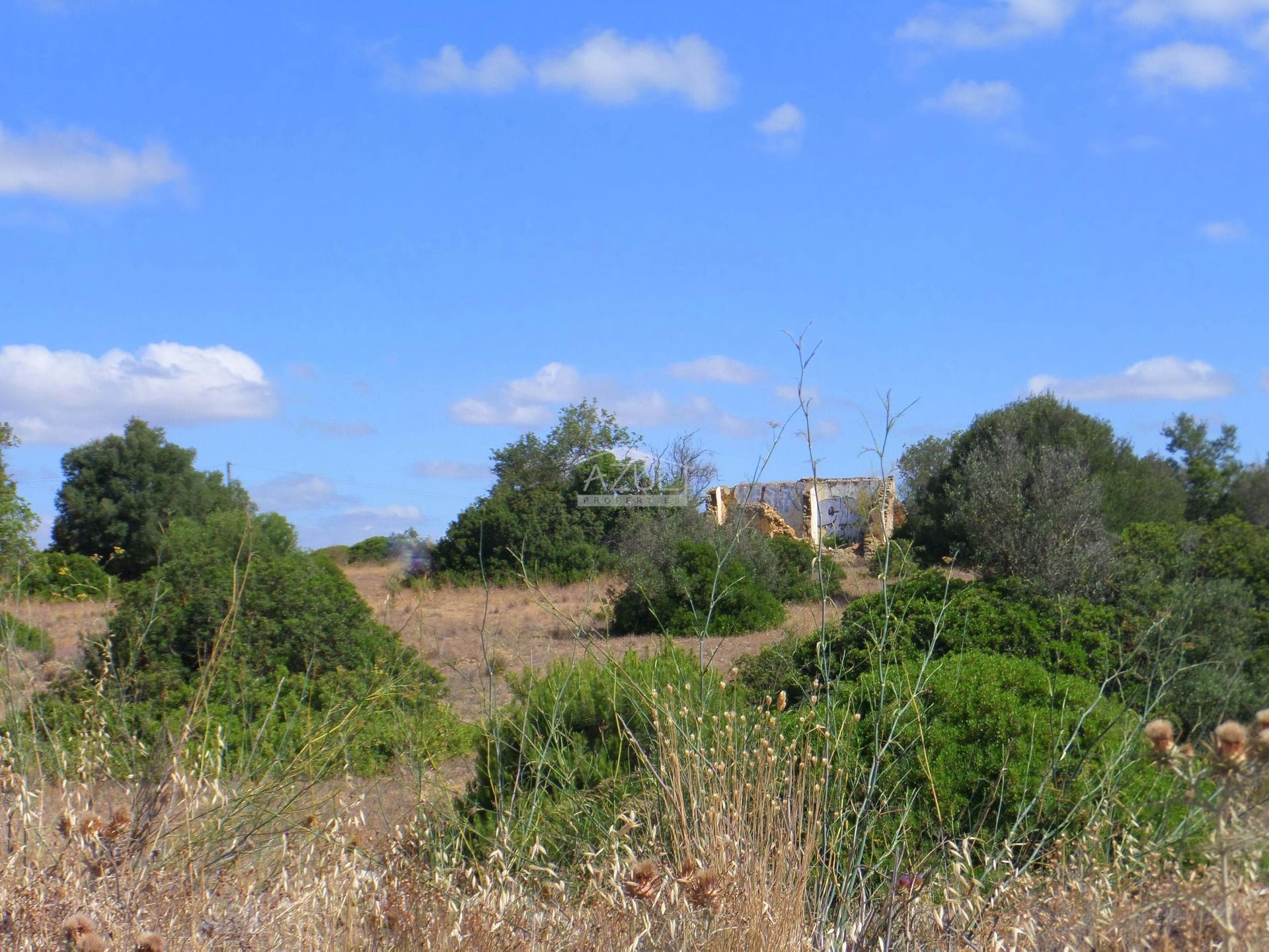 Land in Quarteira, Faro 11116952