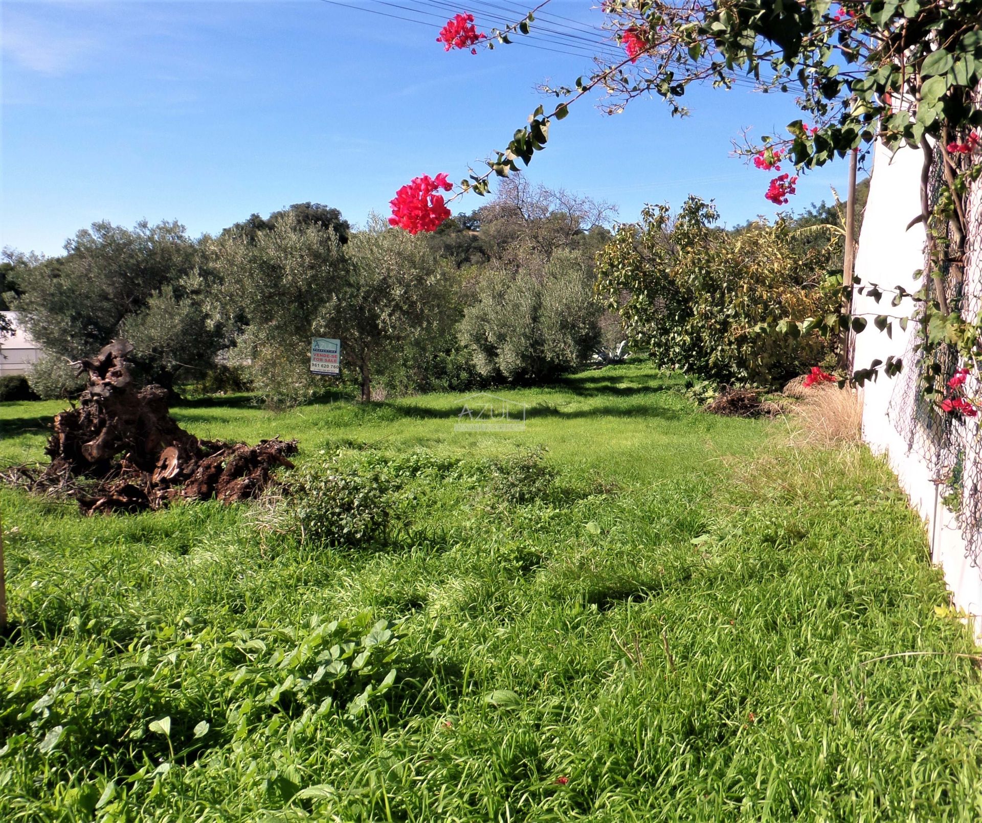 Land in Loulé, Faro 11116959