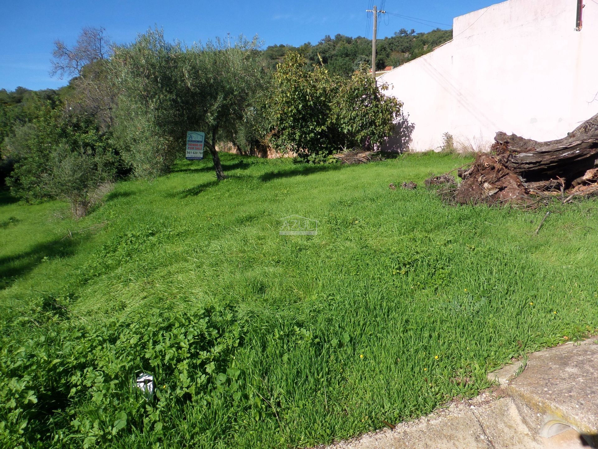 Land in Loulé, Faro 11116959