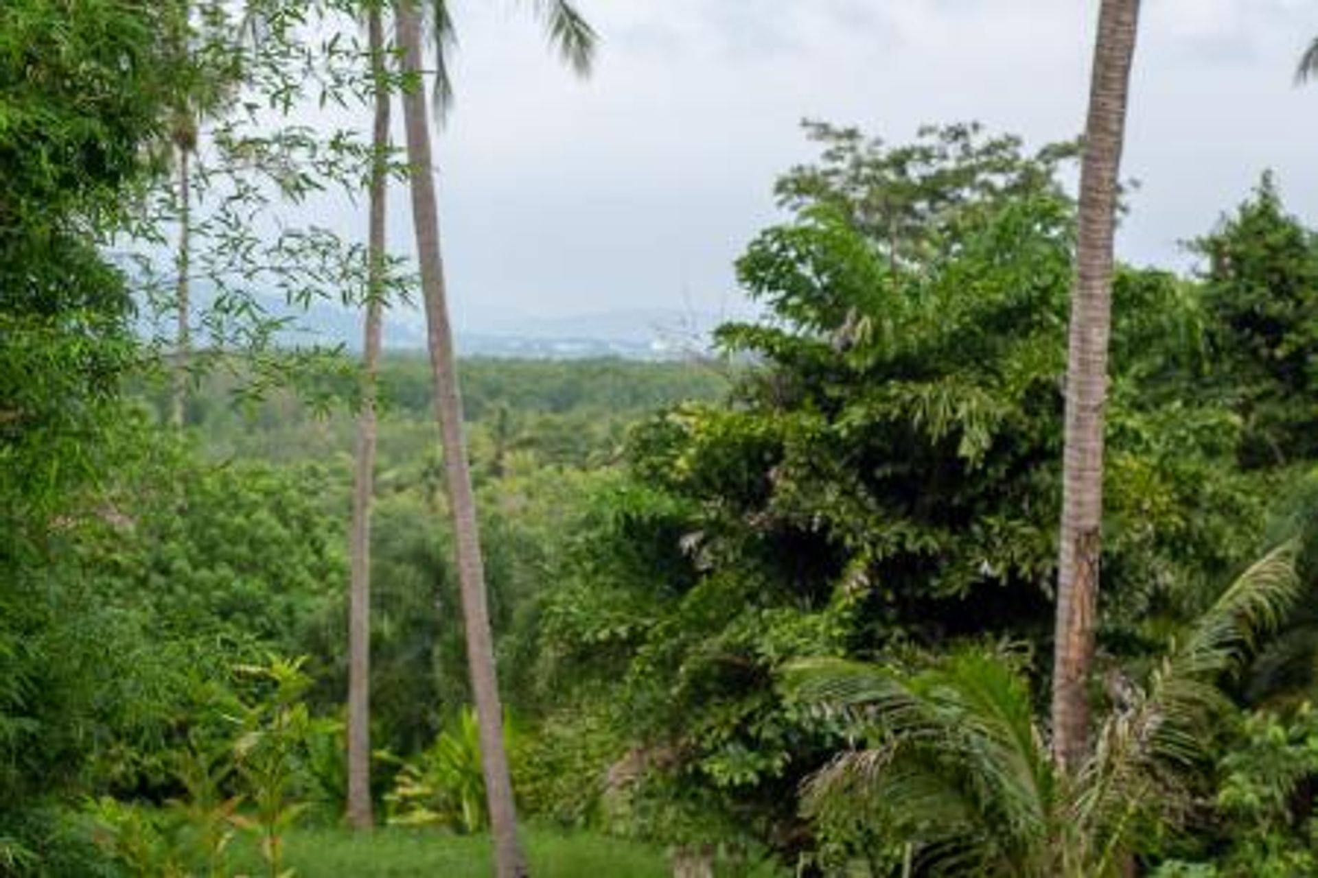 жилой дом в Ko Kaeo,  11117370