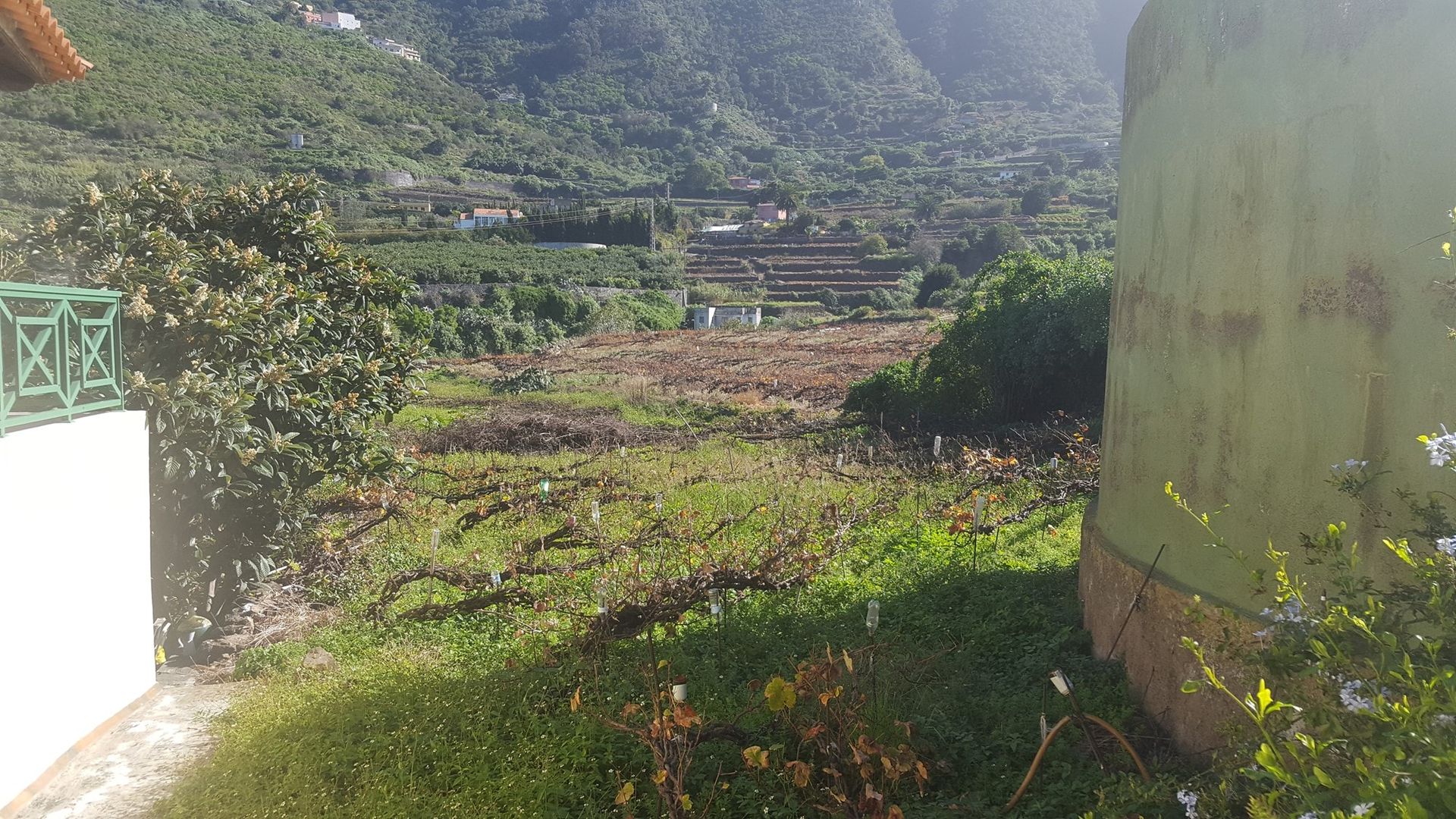 loger dans El Durazno, les îles Canaries 11117704