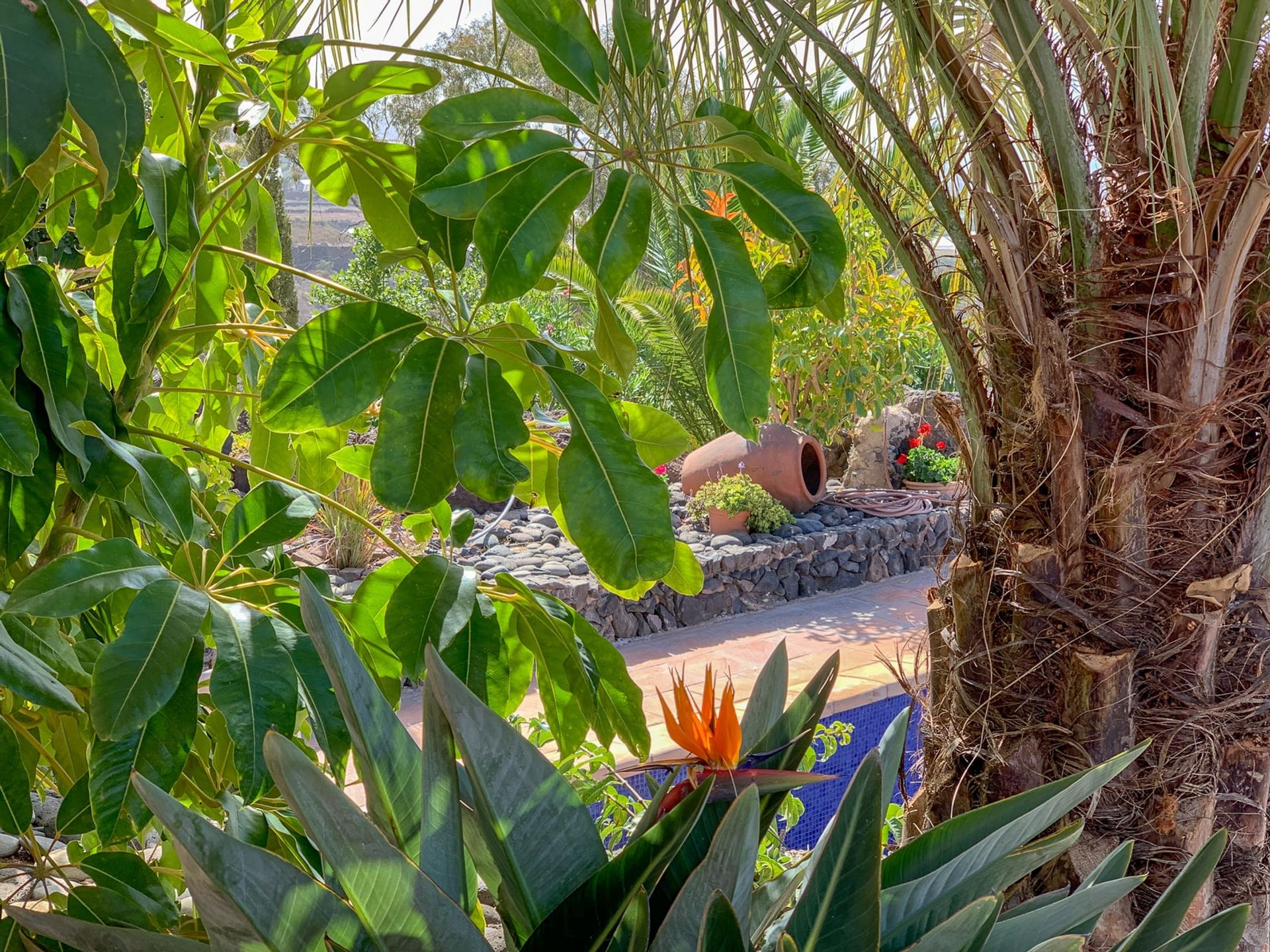 Rumah di Guía de Isora, Canarias 11117706