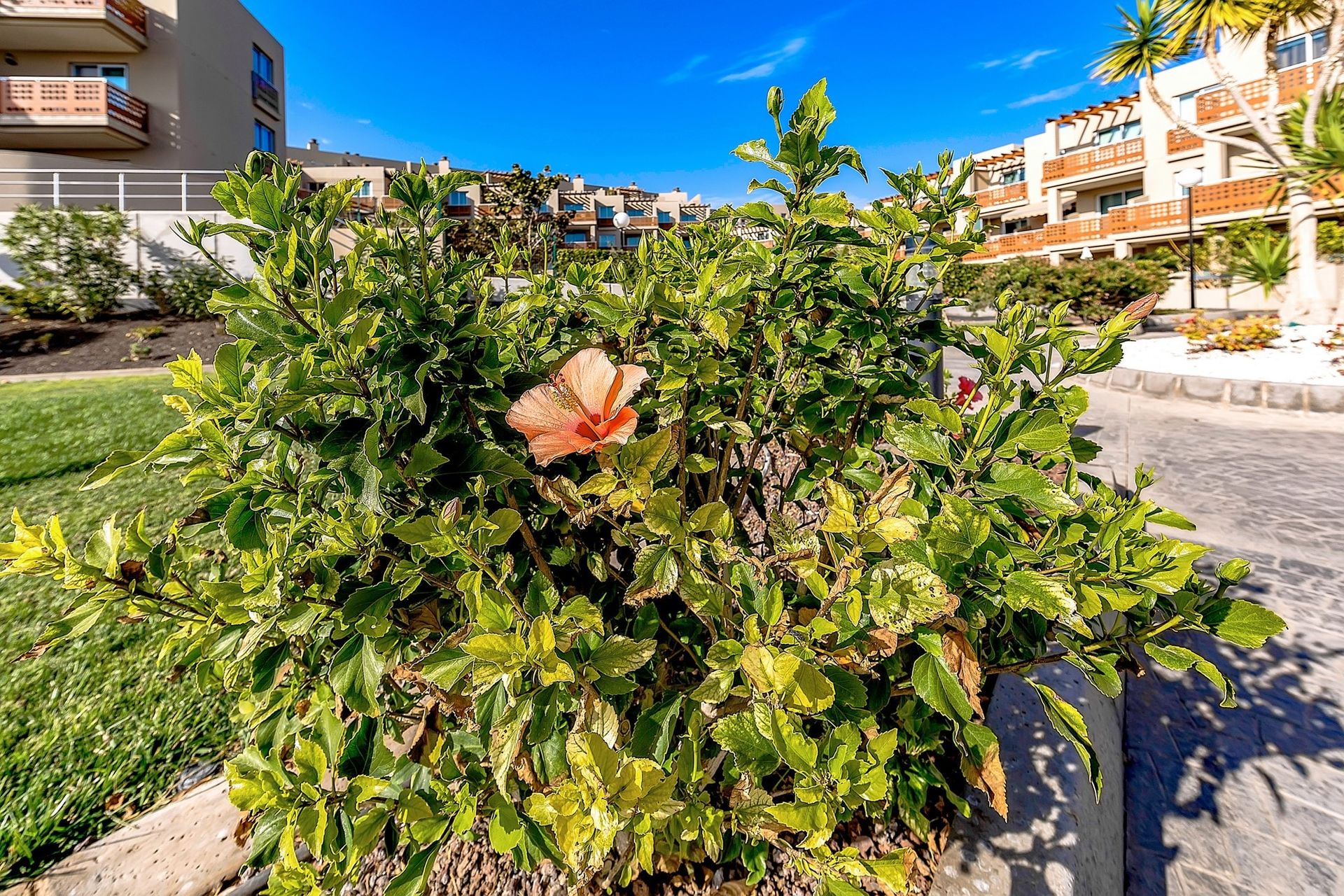 Kondominium di Granadilla, Canarias 11117751