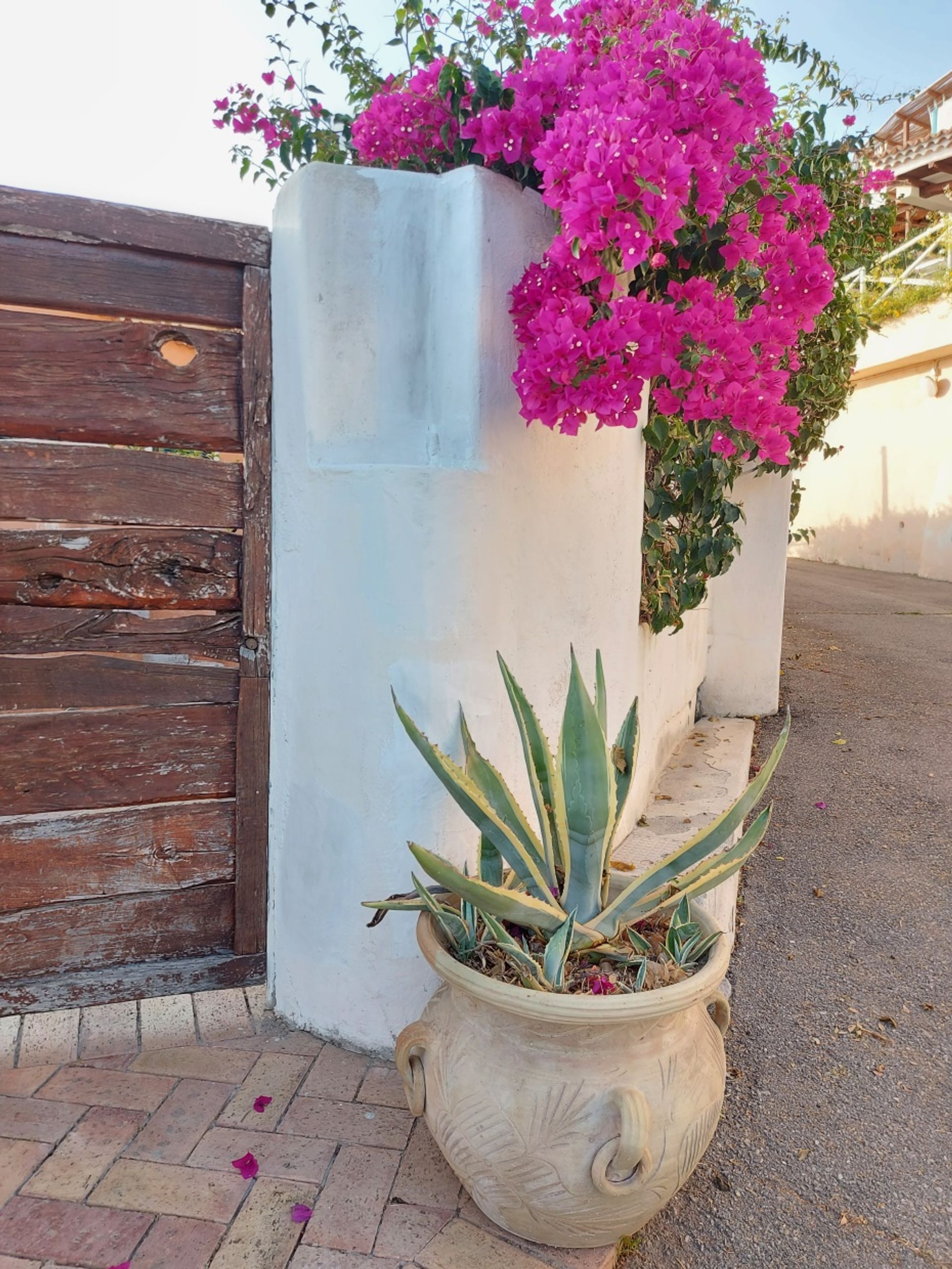 casa en Spezzano Grande, Calabria 11118019