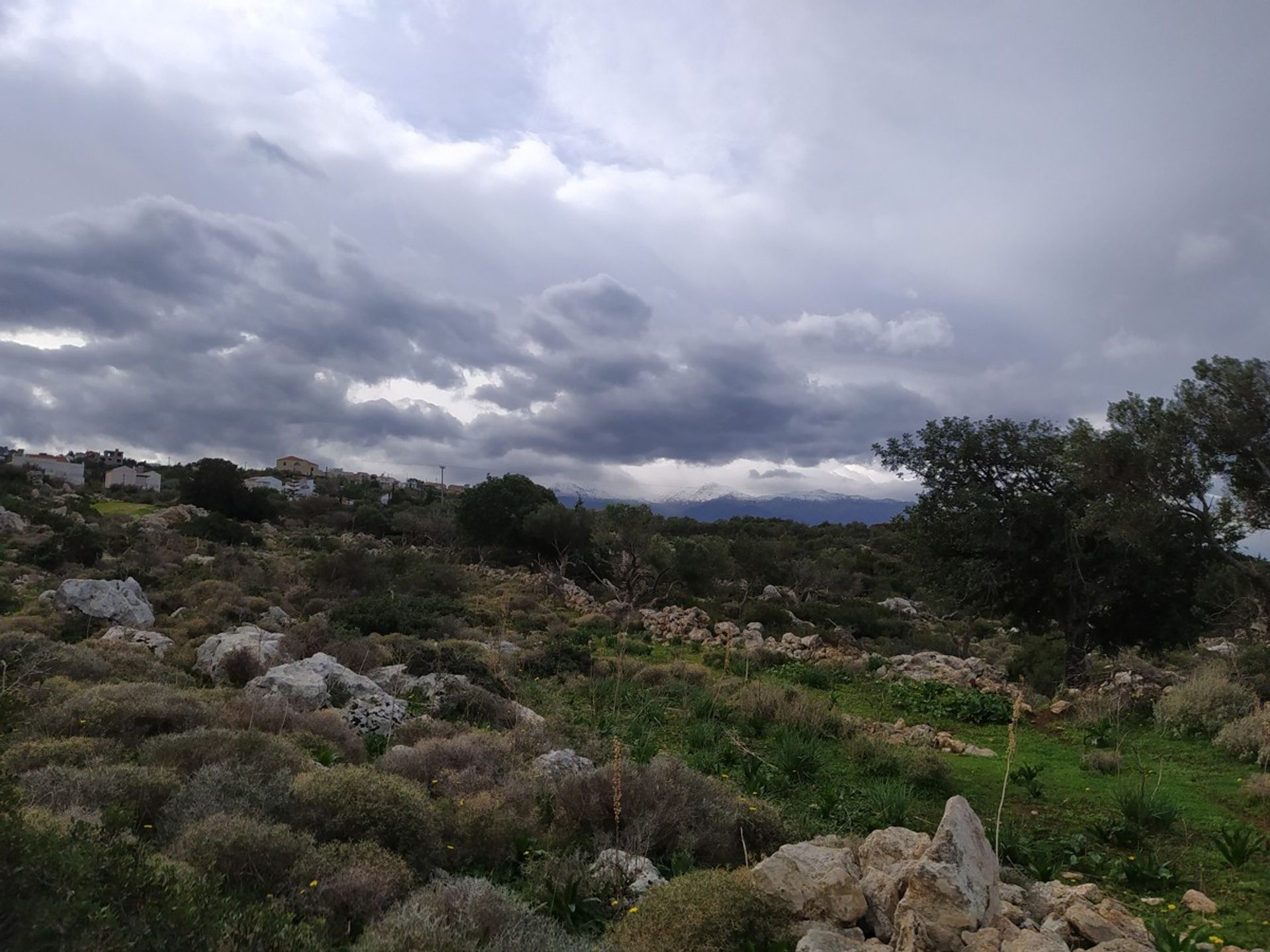 Terre dans Kokkino Chorio,  11118057