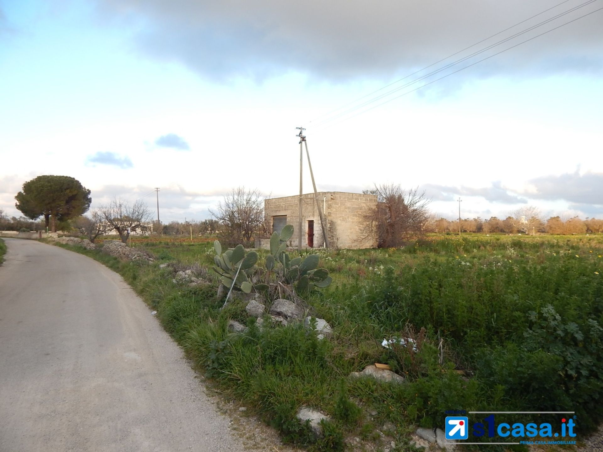 Land in Galatone, Apulia 11118065