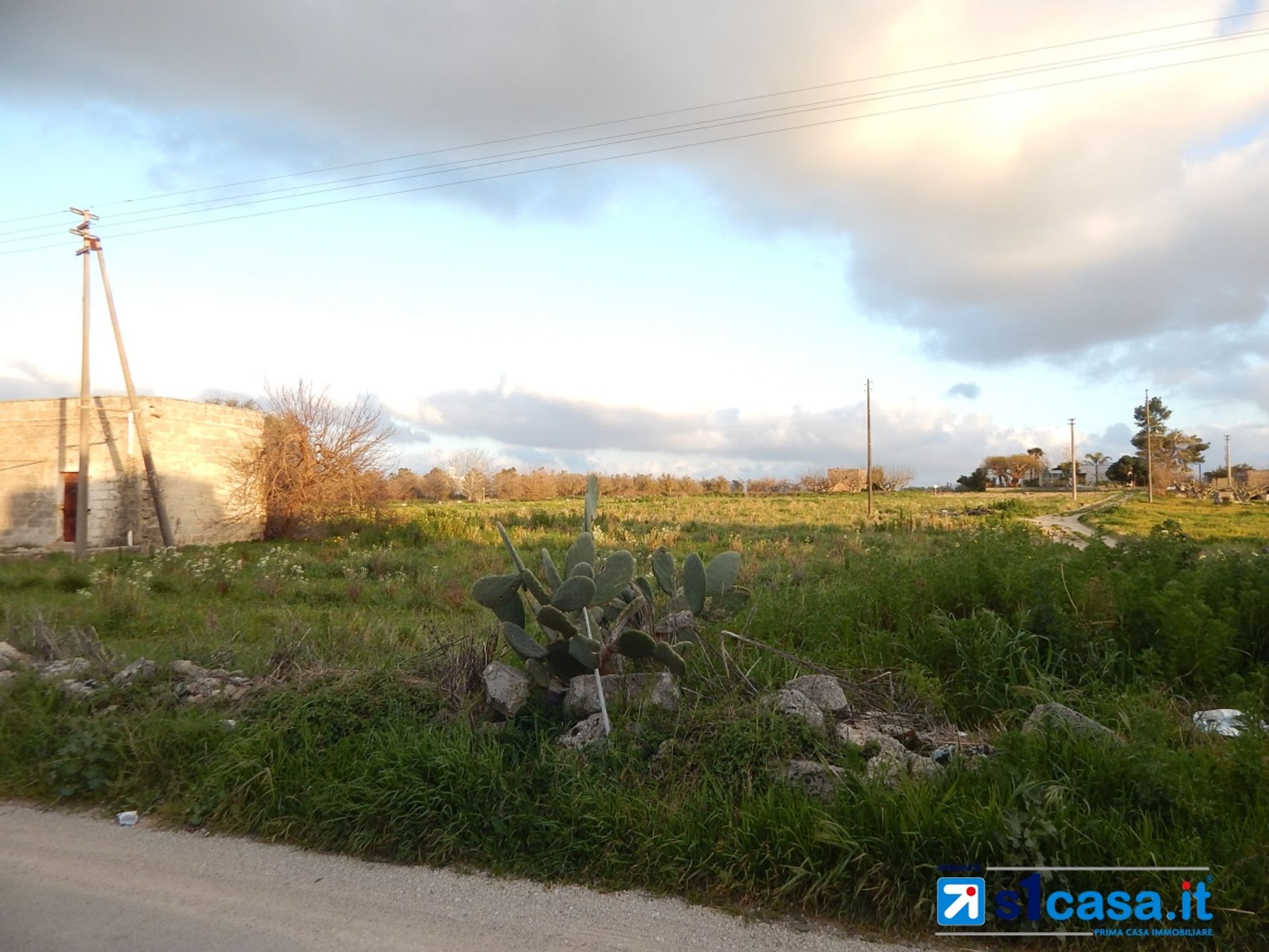 Land in Galatone, Apulia 11118065