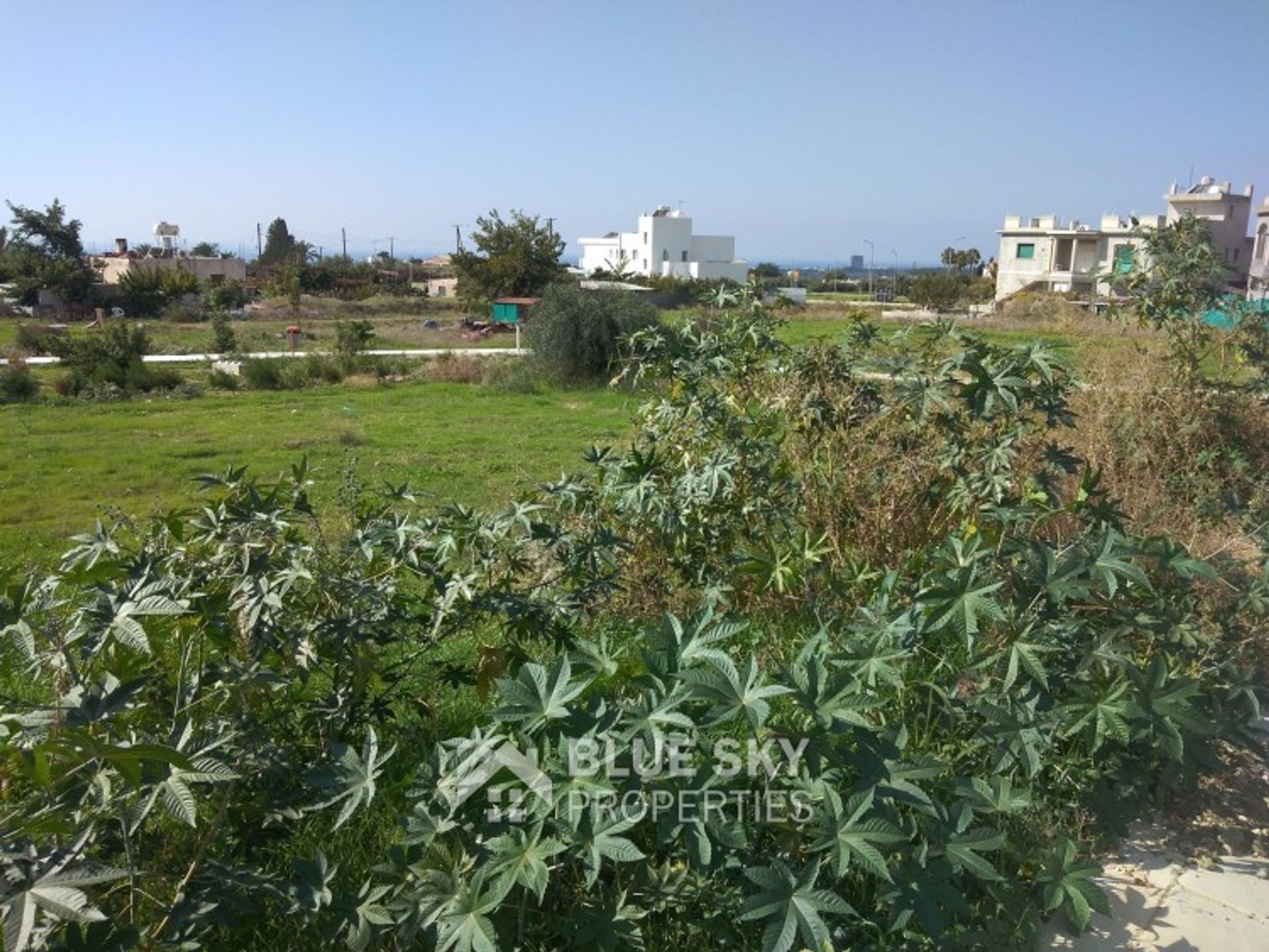 Tierra en coloni, Pafos 11118145