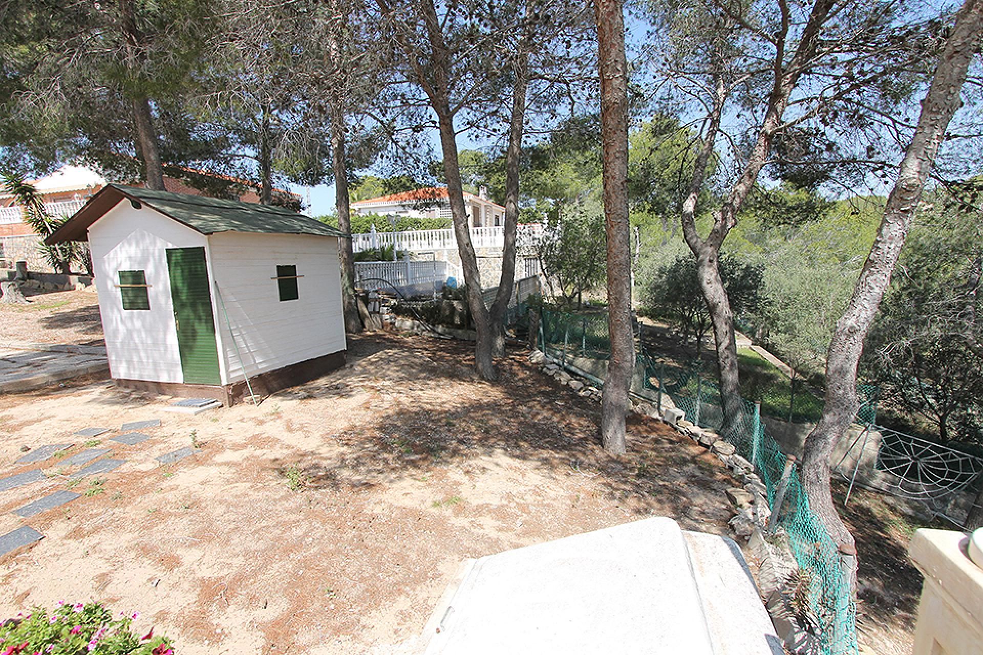 House in Pinar de Campoverde, Valencian Community 11118251