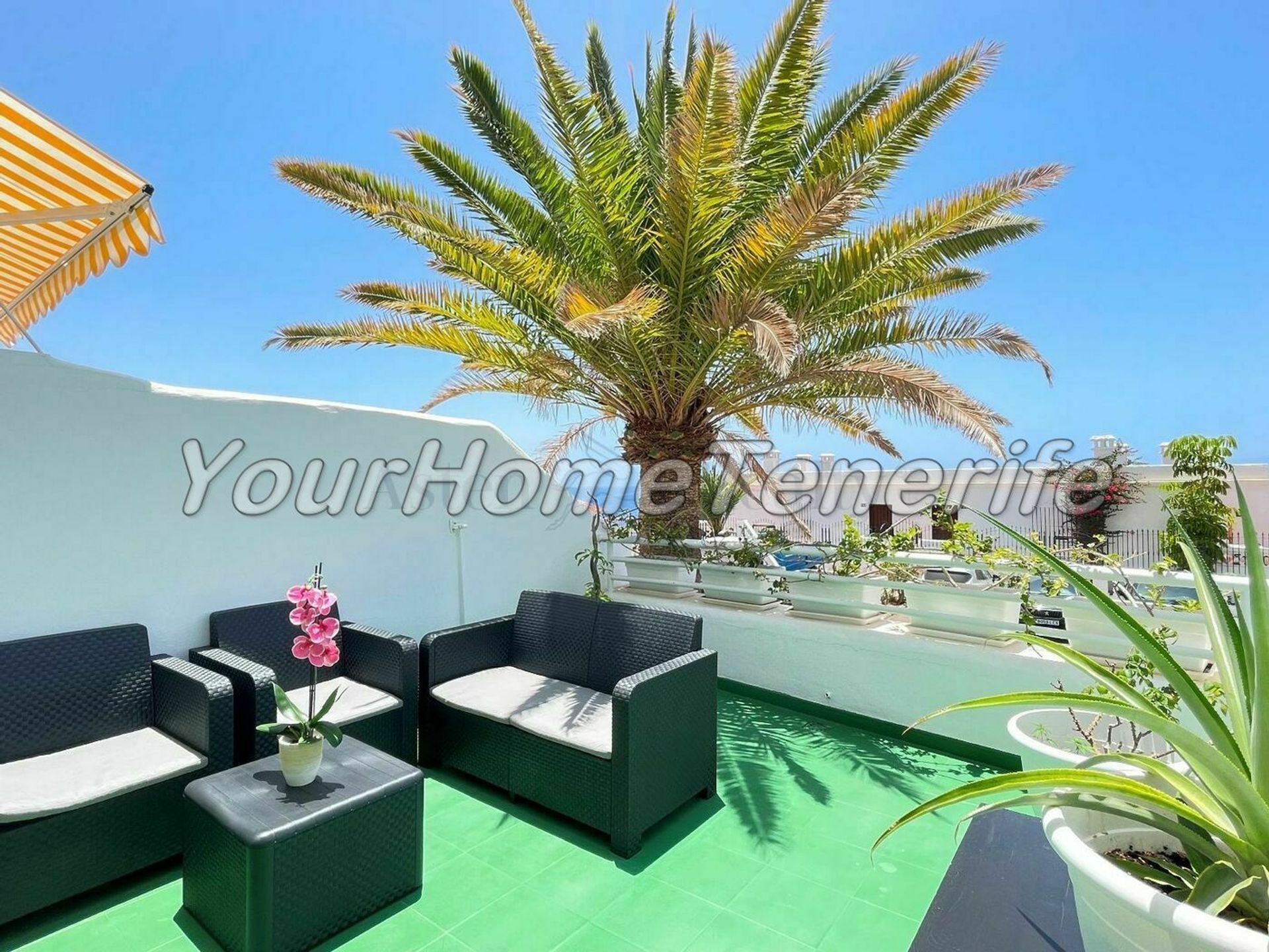 Kondominium dalam Los Cristianos, Pulau Canary 11118384