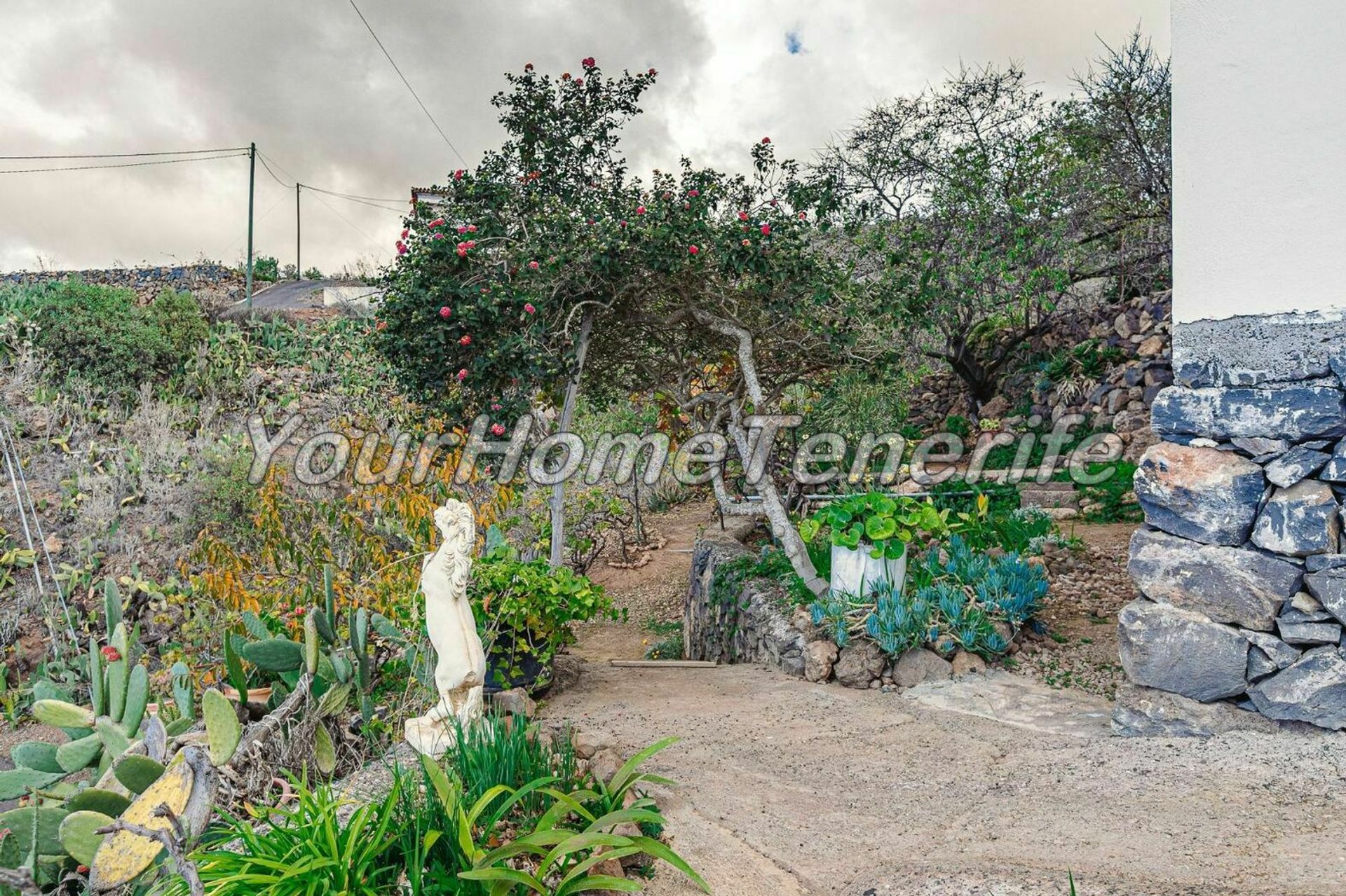 Будинок в Guía de Isora, Canary Islands 11118434