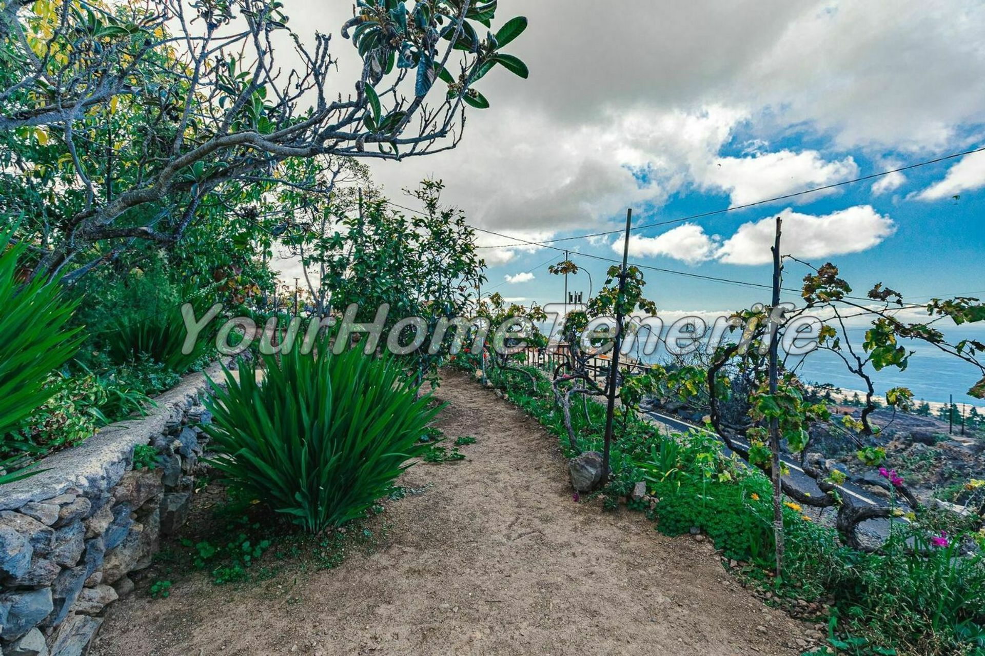 House in Guía de Isora, Canary Islands 11118434