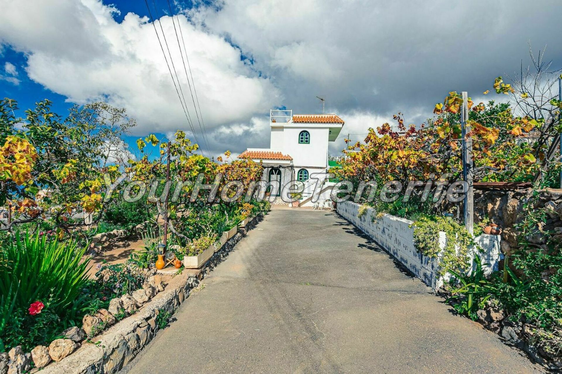 House in Guía de Isora, Canary Islands 11118434