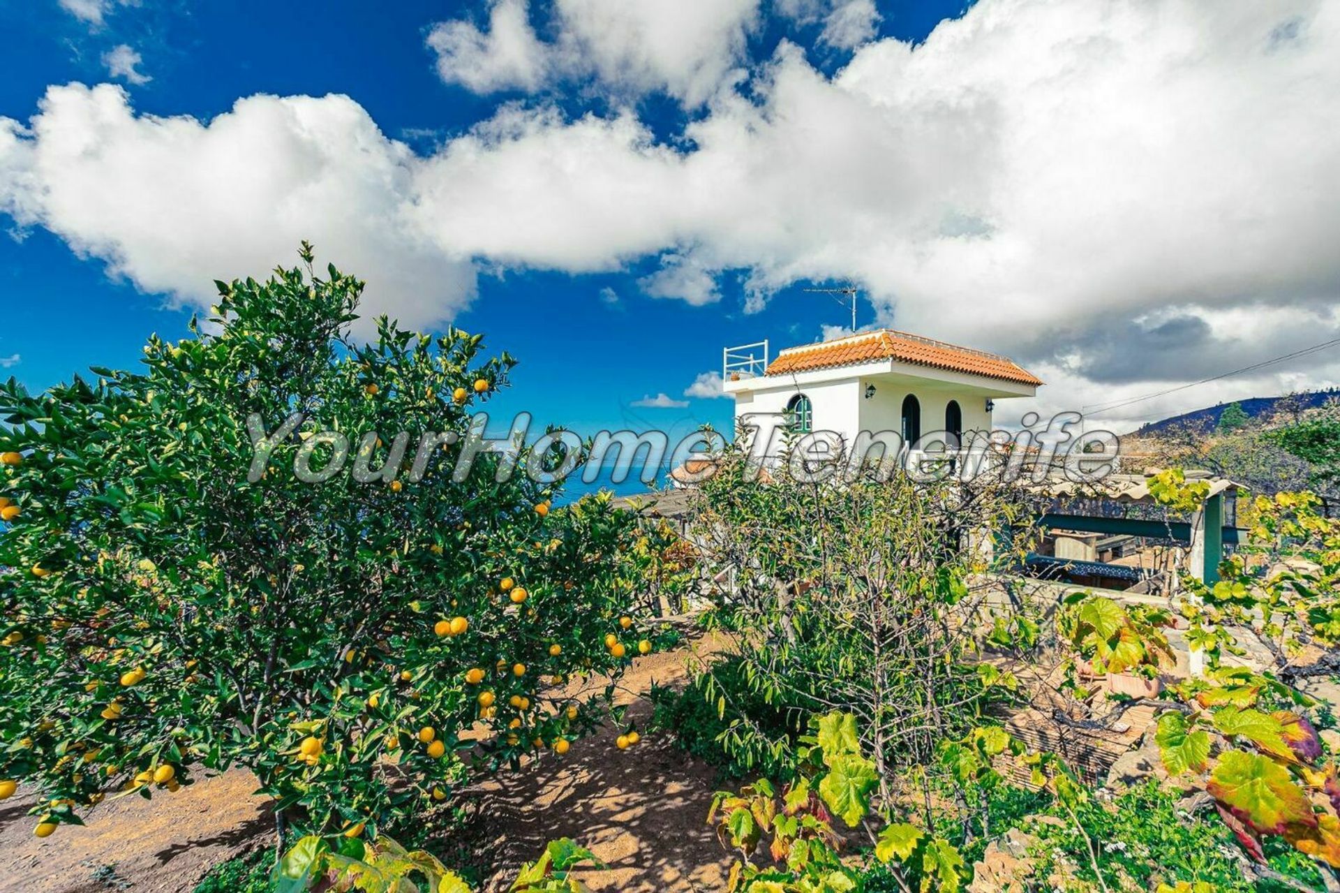 Будинок в Guía de Isora, Canary Islands 11118434