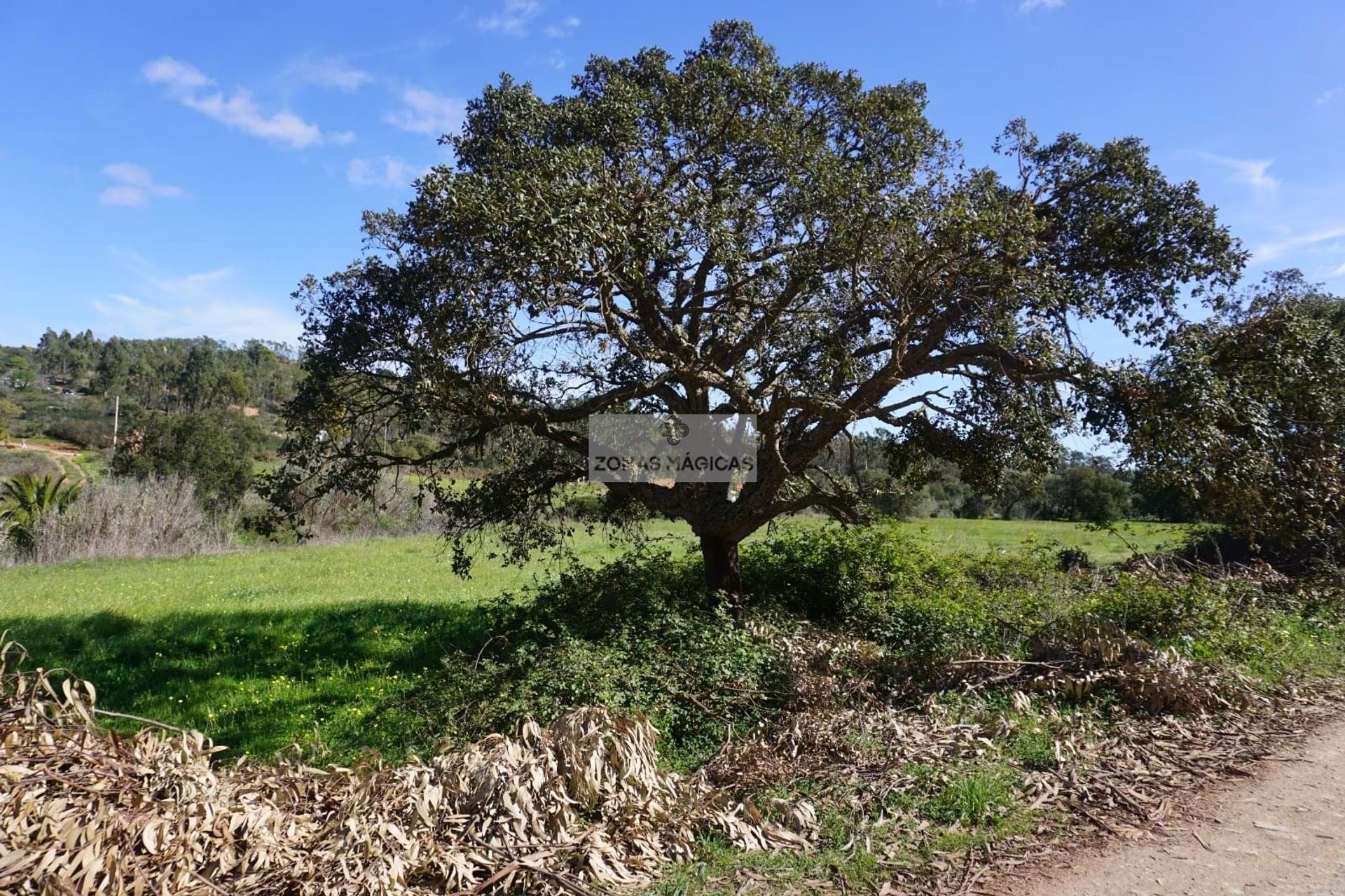 Tierra en Vila do Bispo, Faro District 11118443