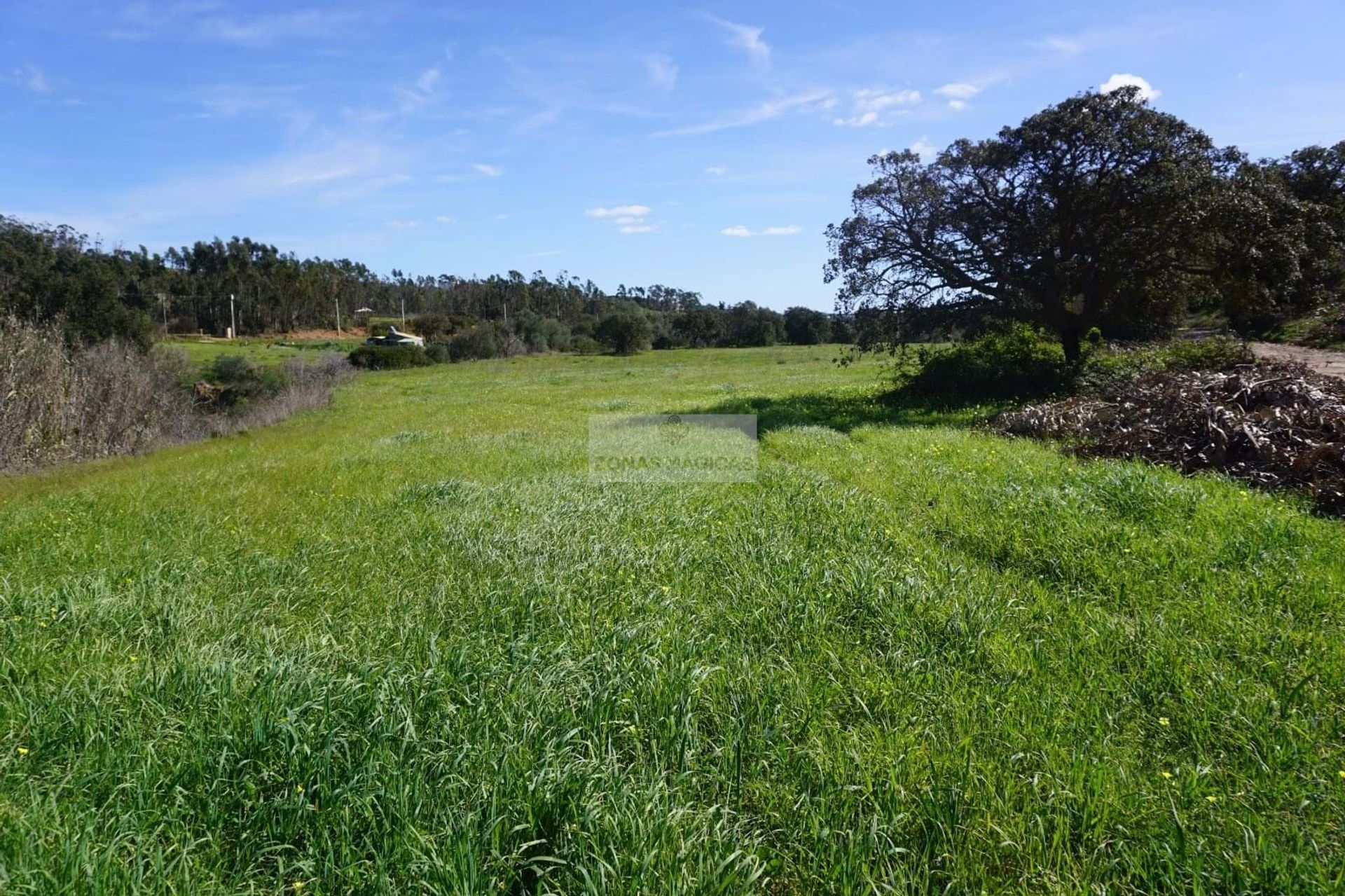 Tierra en Vila do Bispo, Faro District 11118443