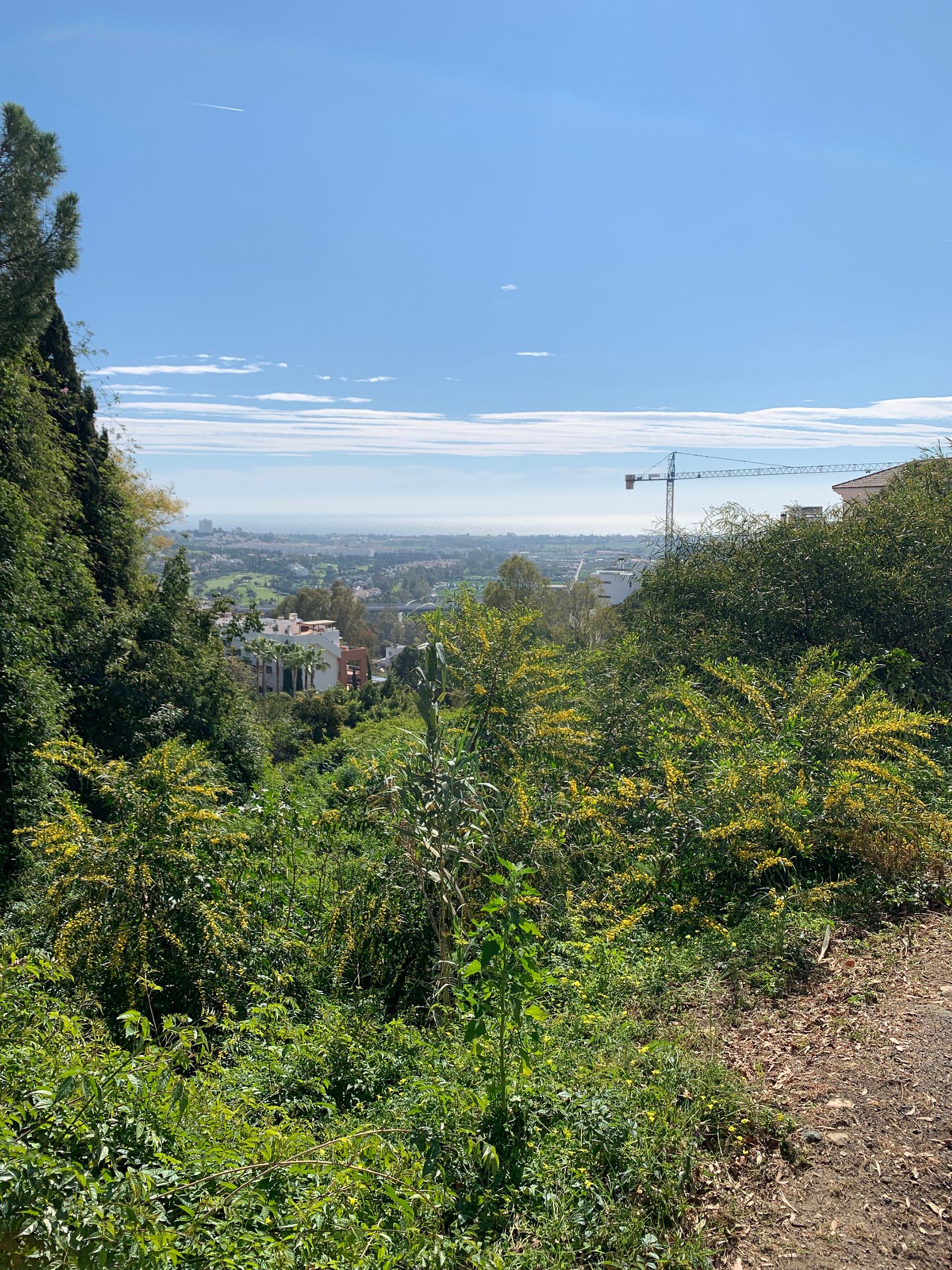 Terre dans Málaga, Andalousie 11118483