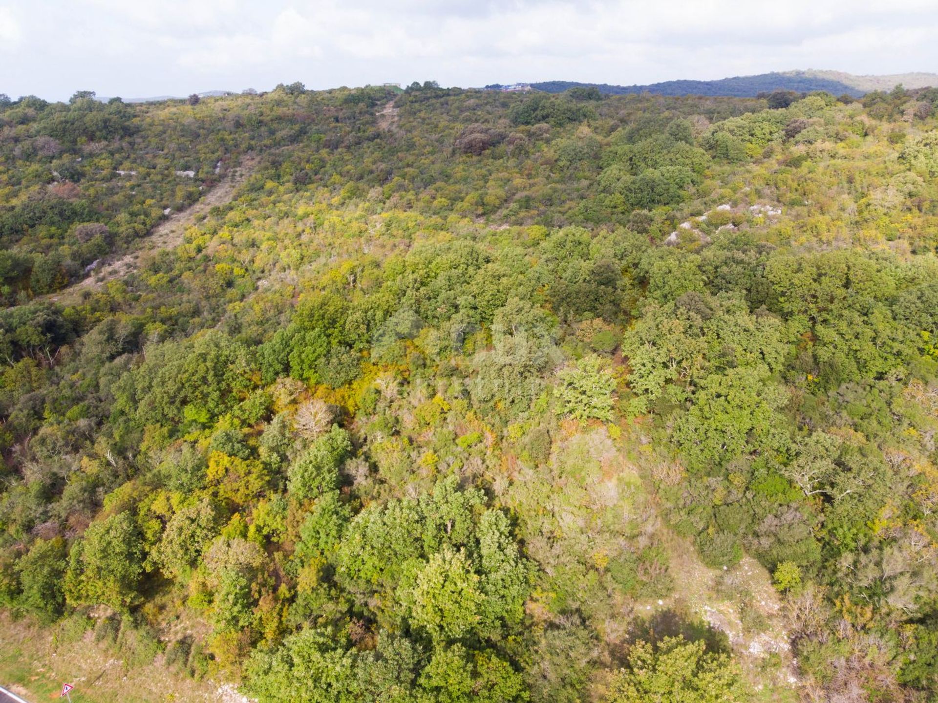 Tanah di Sveti Lovrec Pazenaticki, Istarska Zupanija 11118542