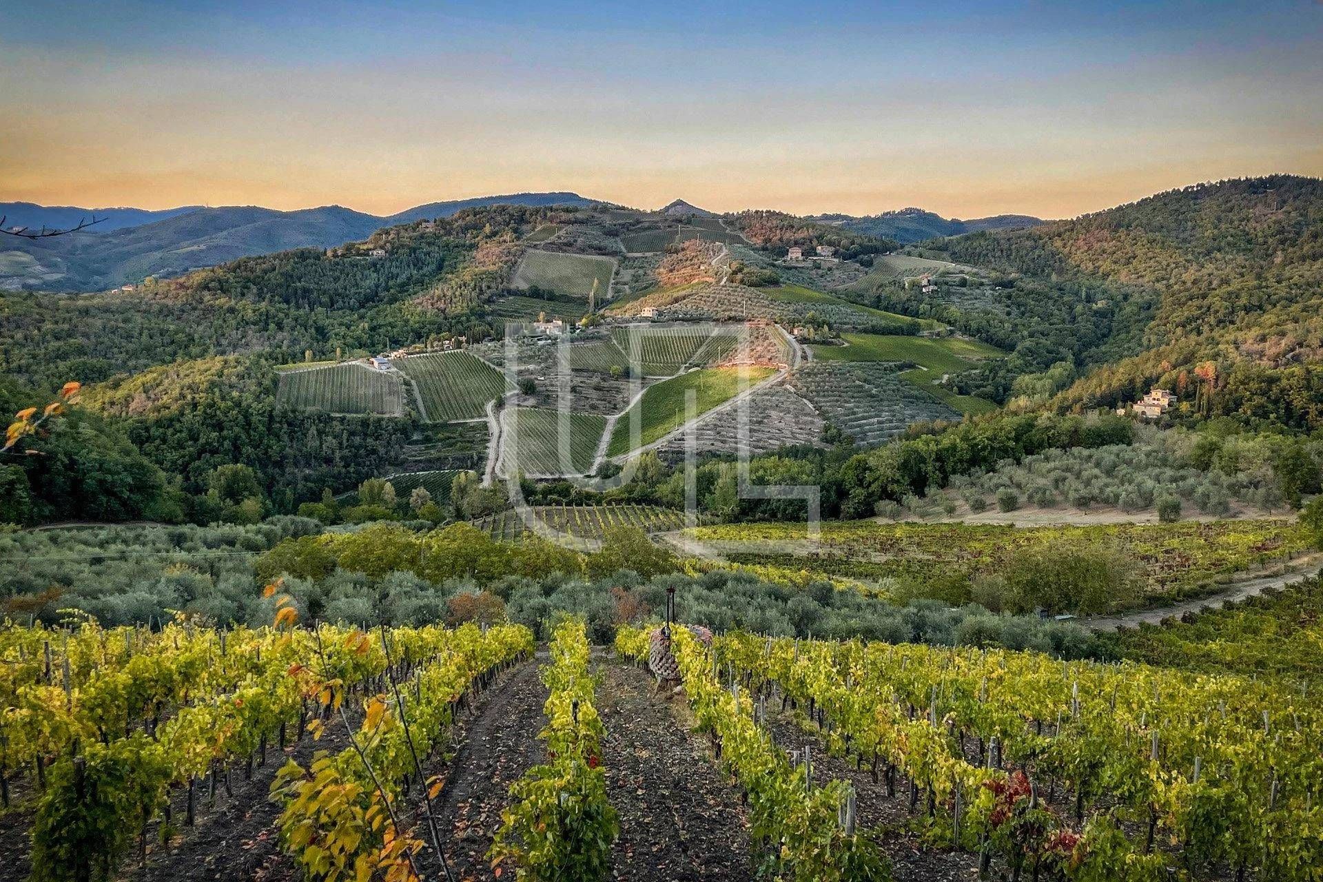 casa en Castellina in Chianti, Tuscany 11119154