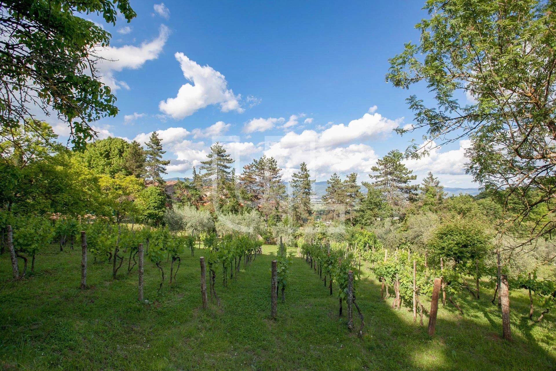 Talo sisään Anghiari, Toscana 11119637