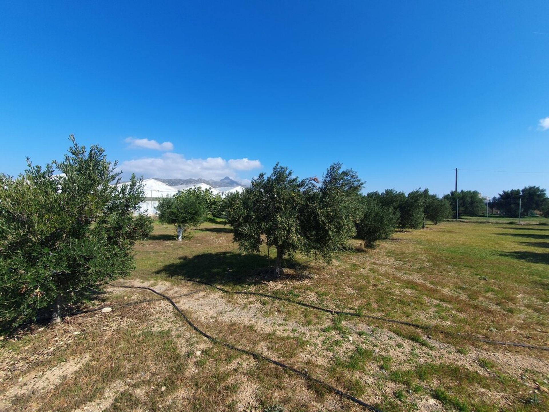 Industrial in Ierapetra,  11120457