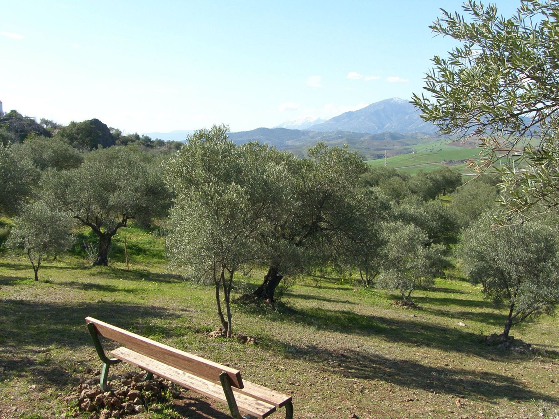 σπίτι σε , Andalucía 11120545